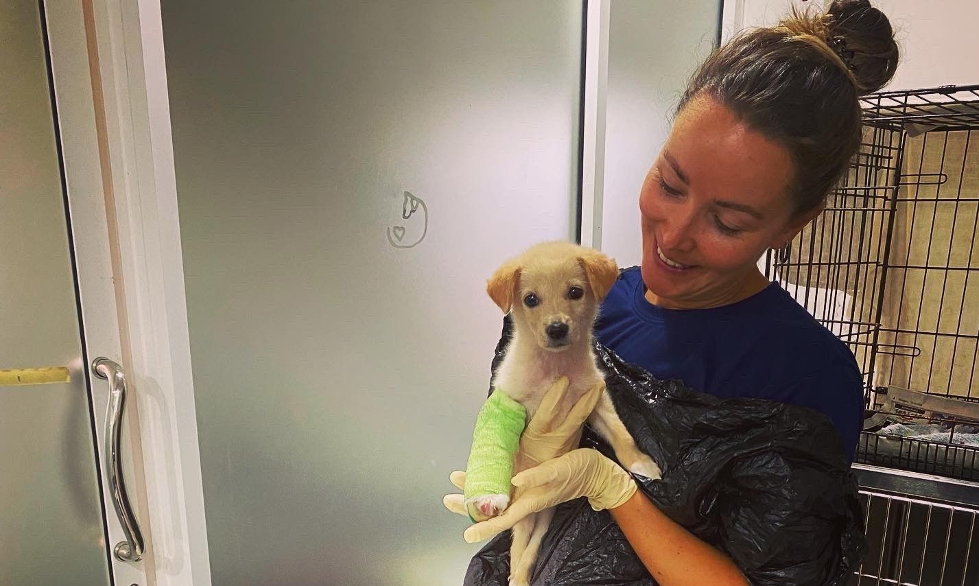 Vet nurse shares 'adrenalinefuelled' experience working in Sri Lanka