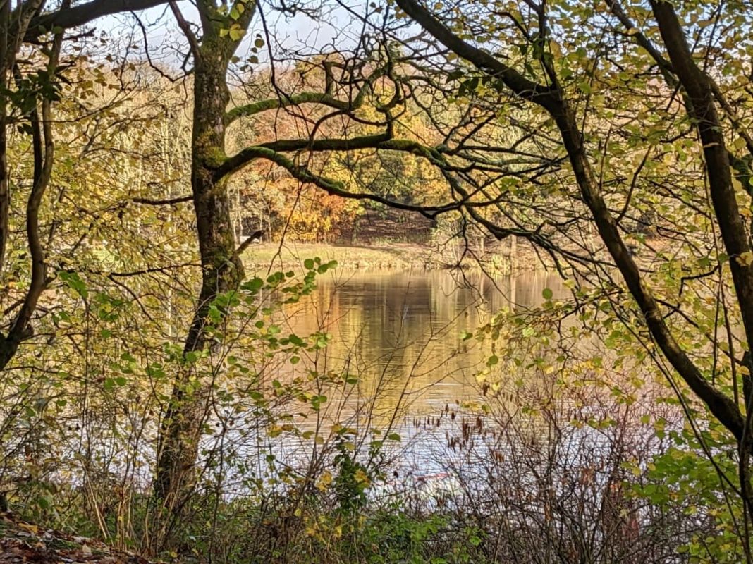 Rossendale Ramblers: Bright and sunny for autumn walks