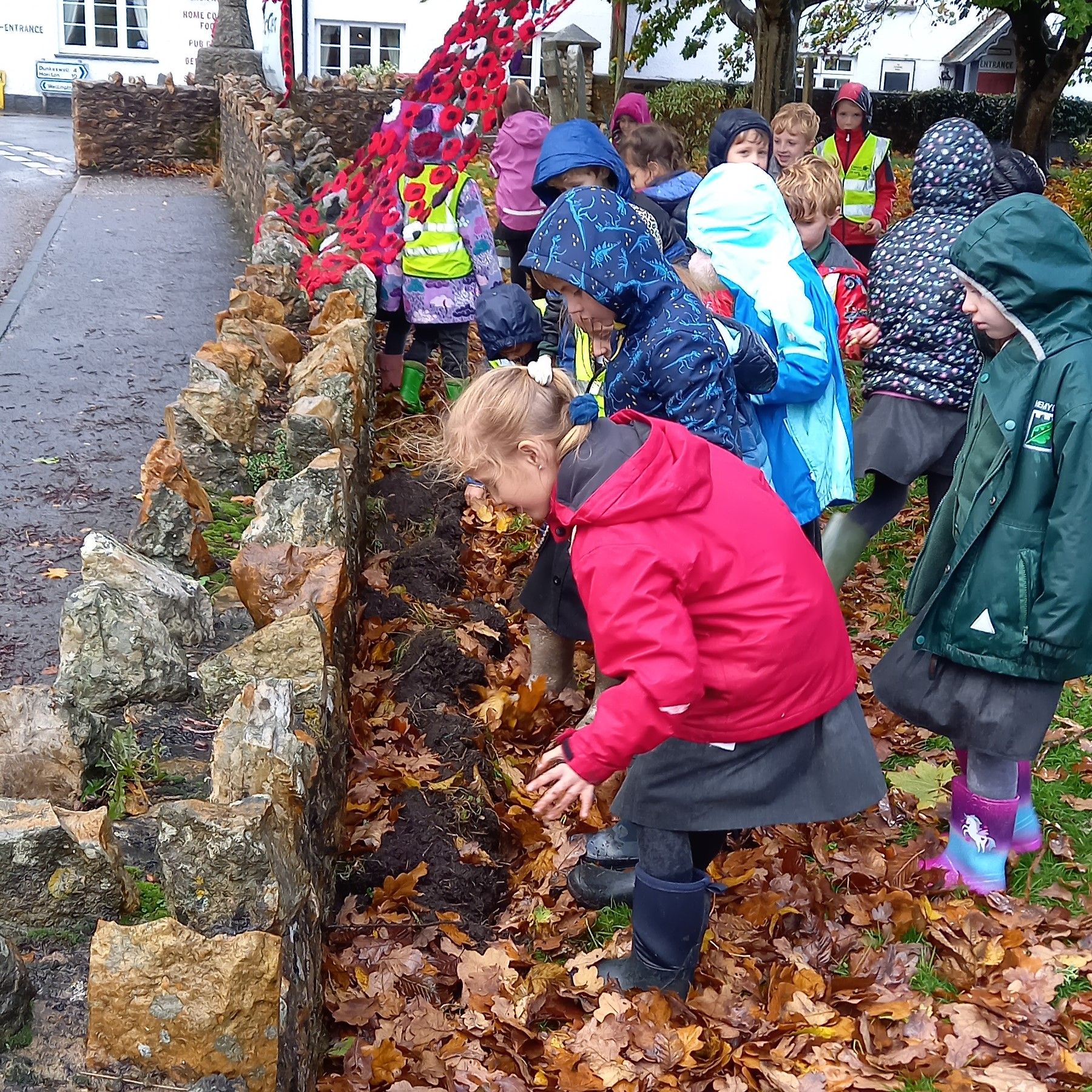 Pupils plant dozens of daffodils in Hemyock
