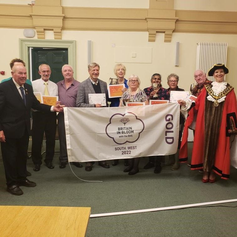 Winners of Tiverton in Bloom announced