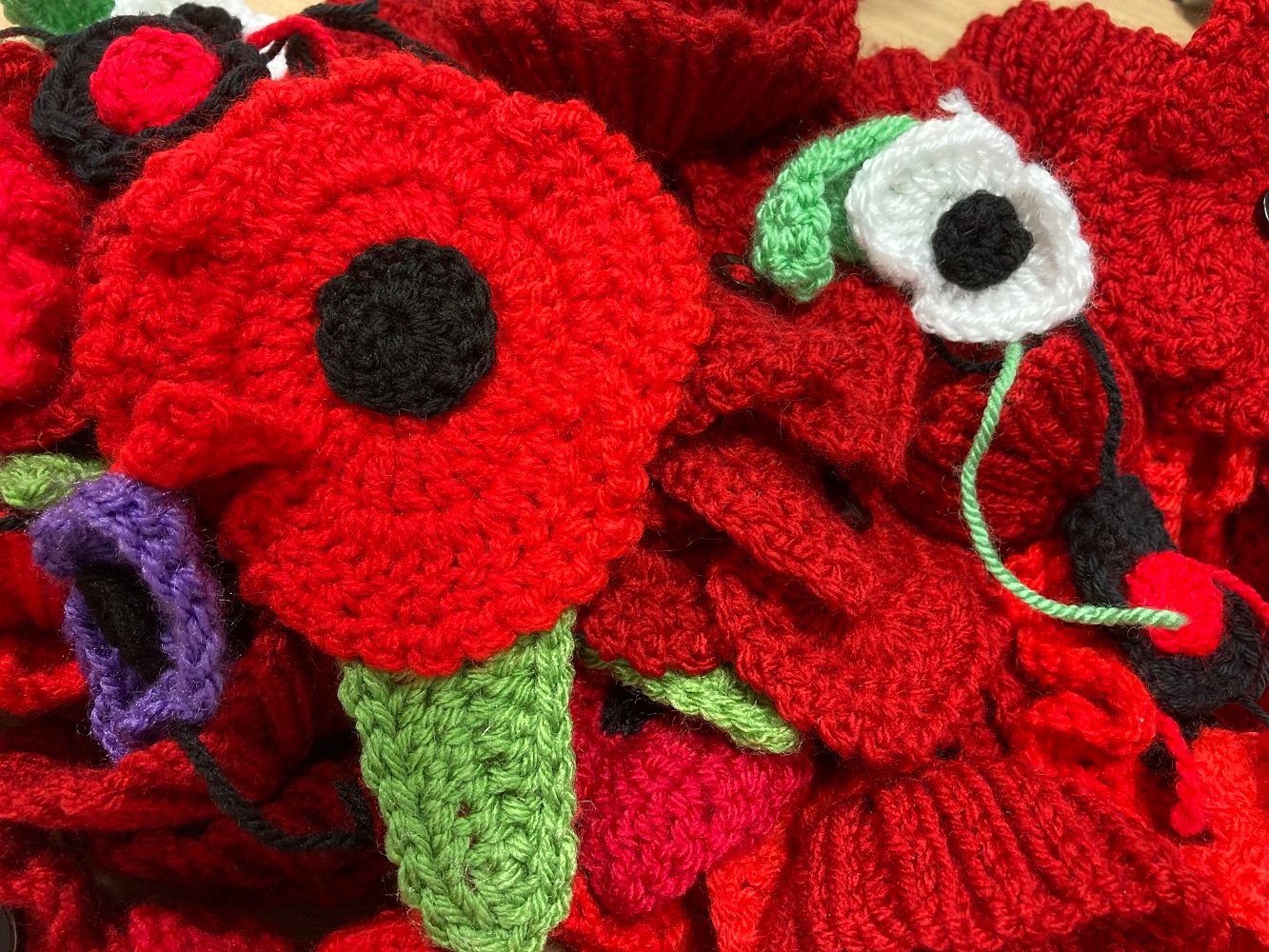 Hundreds of knitted poppies grace buildings of hospital trust in a show of support for the armed forces
