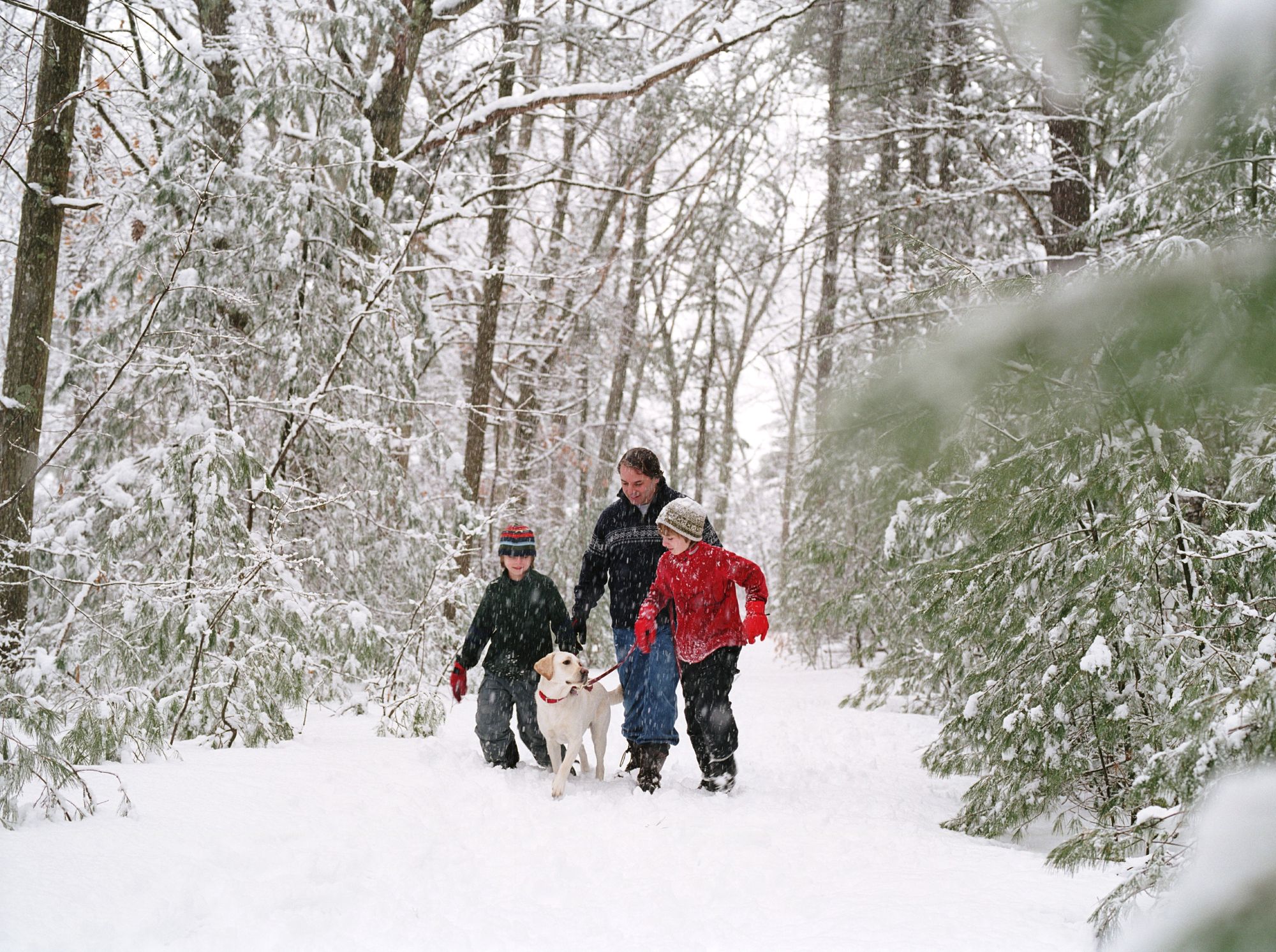 Where and when snow is predicted to fall as arctic blast to freeze Brits