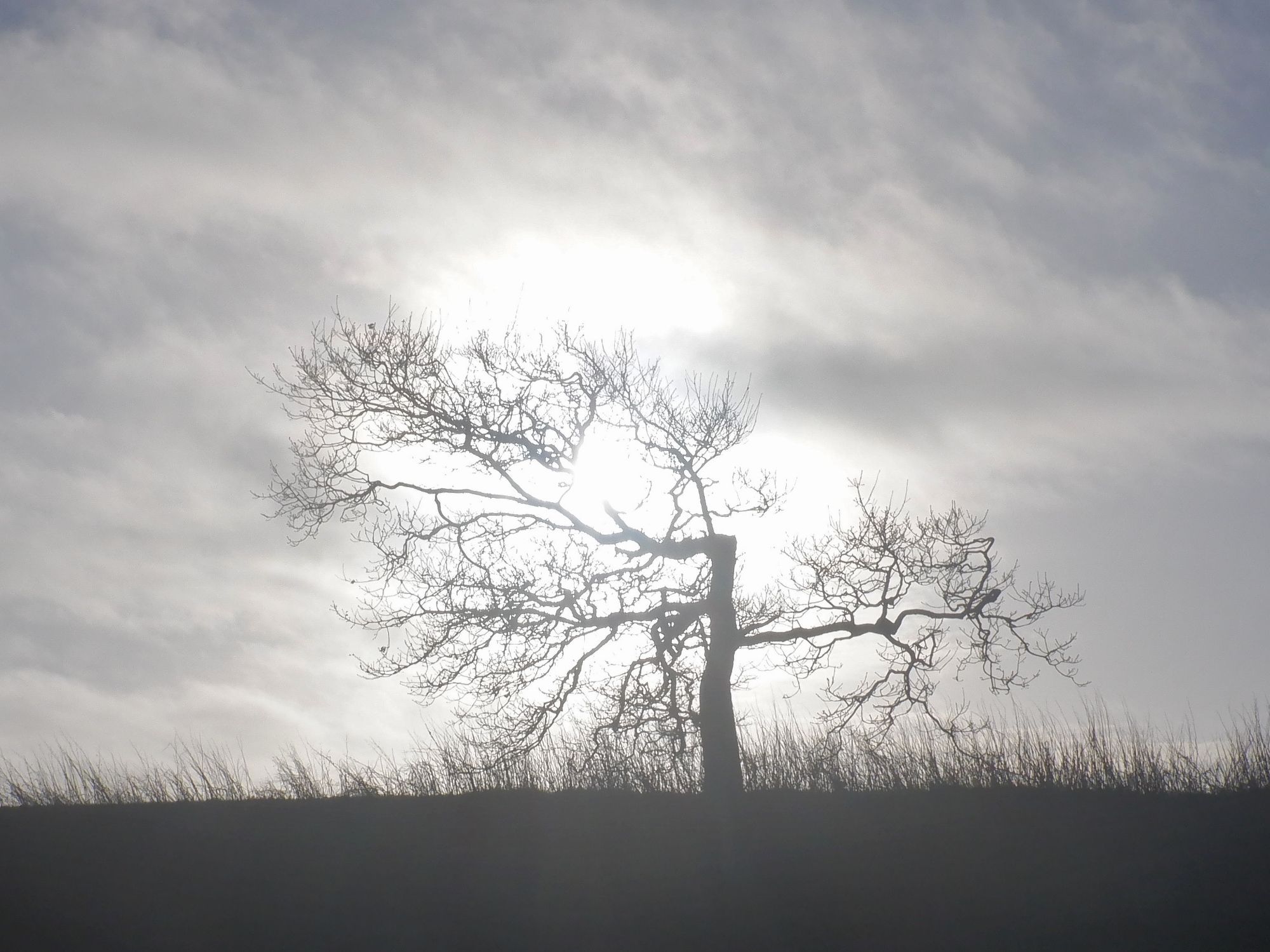 Rossendale Ramblers: A sunny and scenic walk before Christmas lunch