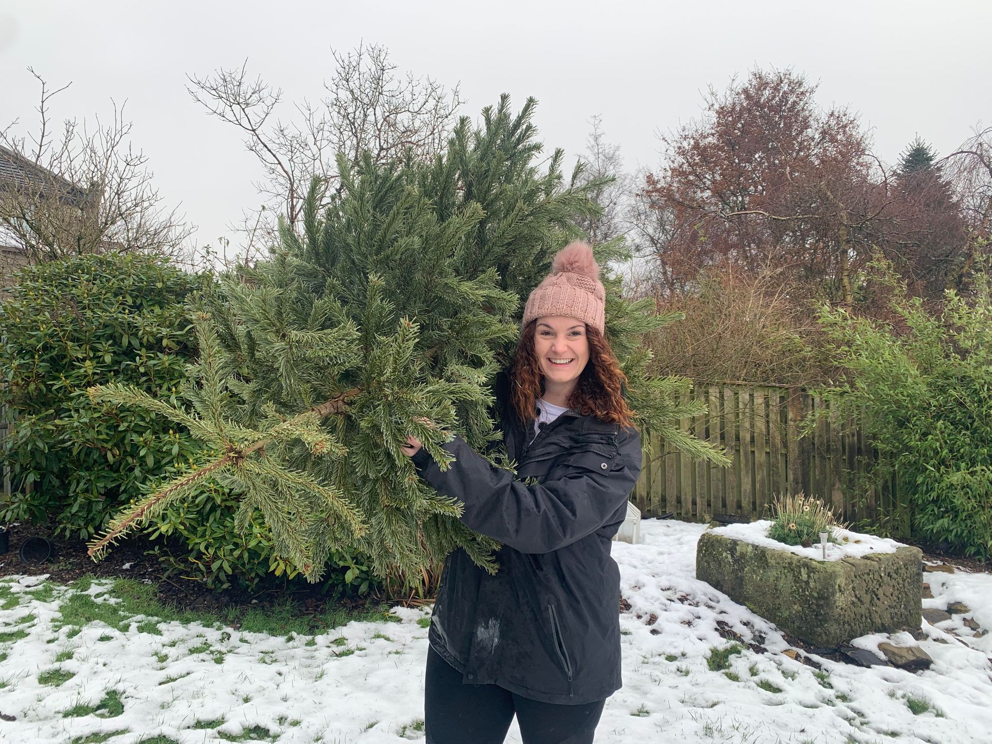 Bedfordshire residents encouraged to recycle real Christmas trees to