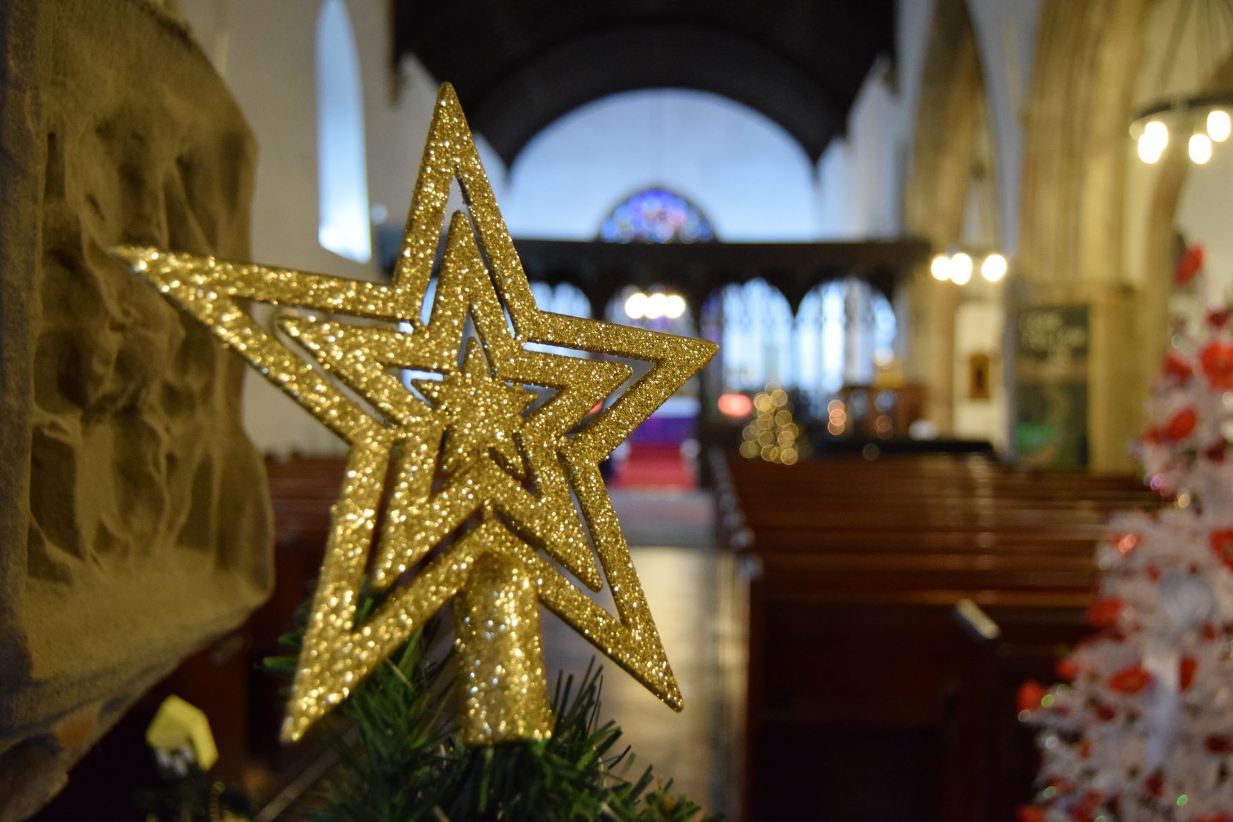 St David's Hospice: Tree festivals are magical start to Christmas
