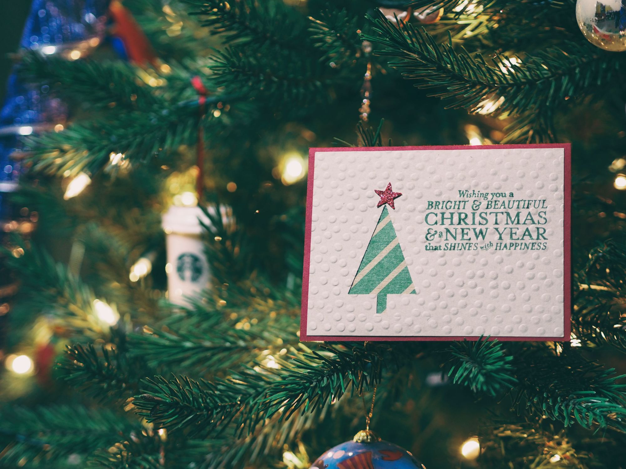 Hertfordshire care homes plea for Christmas card cheer