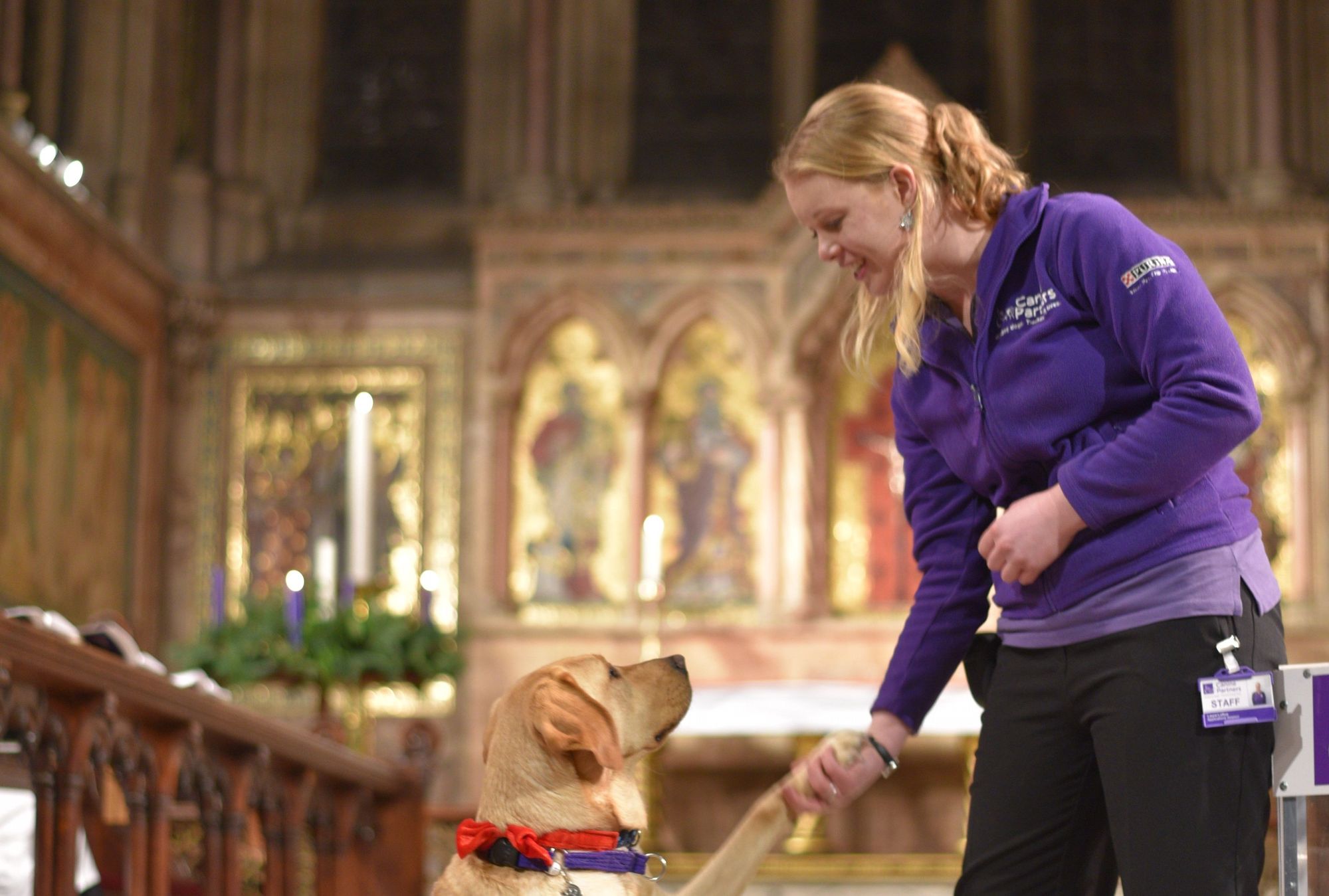 Christmas 'canine' carol service to see assistance dogs visit Edensor church