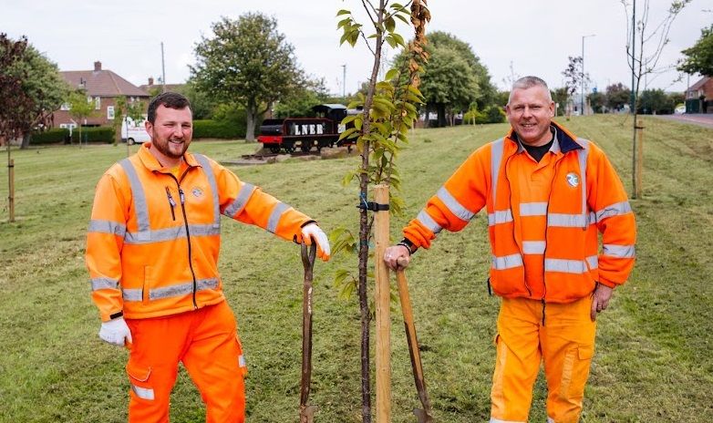 Redcar & Cleveland Borough Council's plans to plant 19,000 trees get the green light