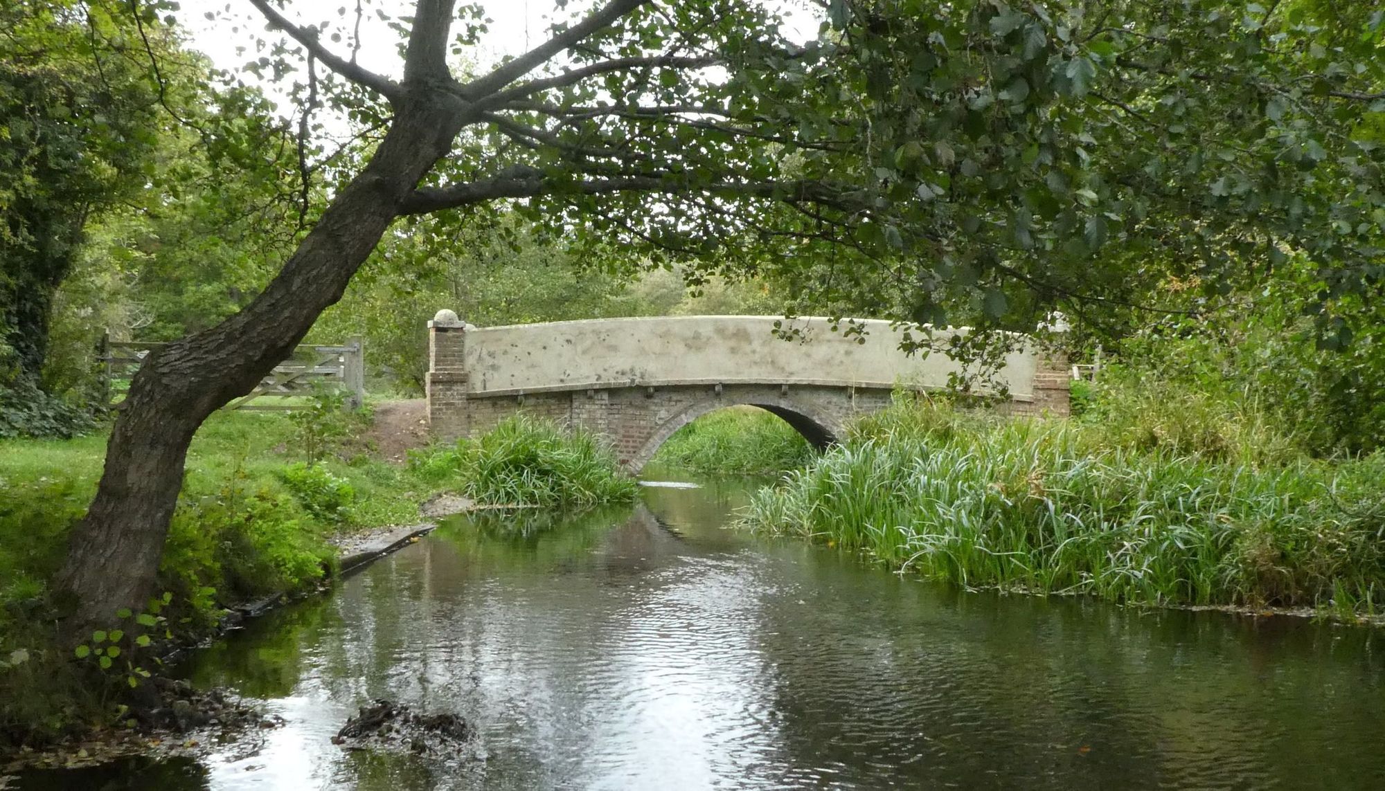 St Albans wildlife trust joins 'Big Give' Christmas match funding scheme