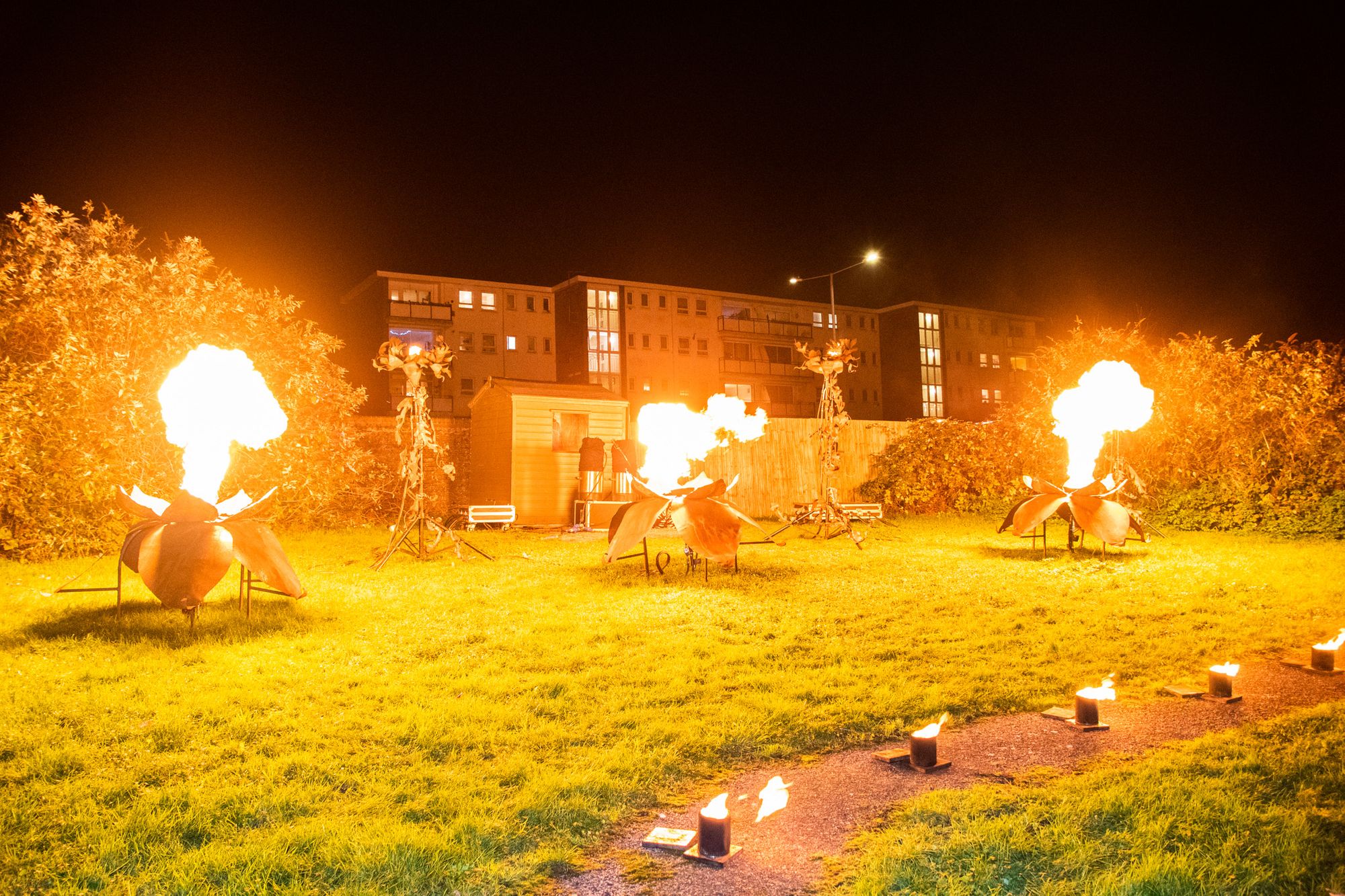 Fiery winter garden and huge wildlife lanterns tempt thousands to Dover's Winter Light Up event