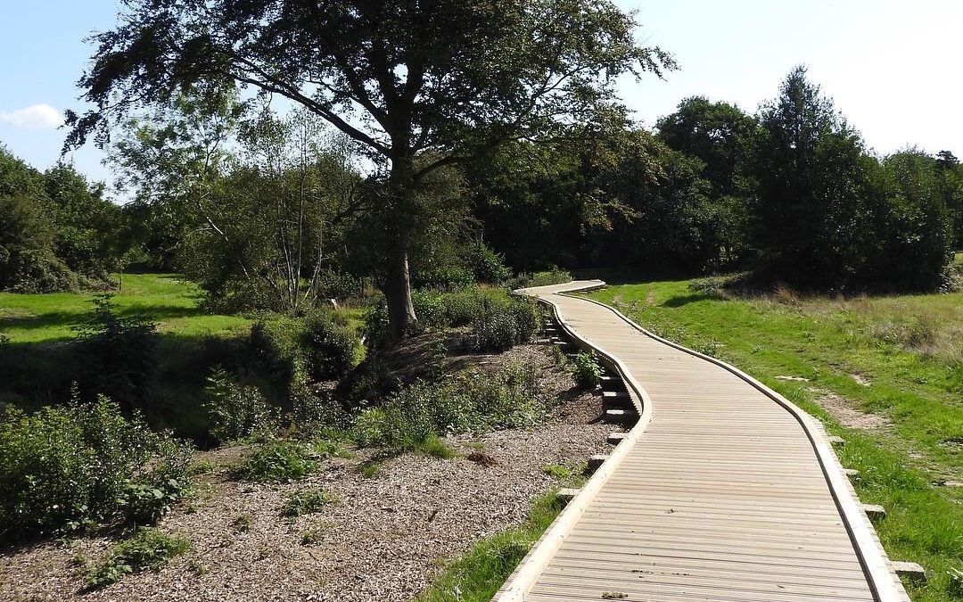 Crowborough park boasts 'thriving' biodiversity, says conservation expert