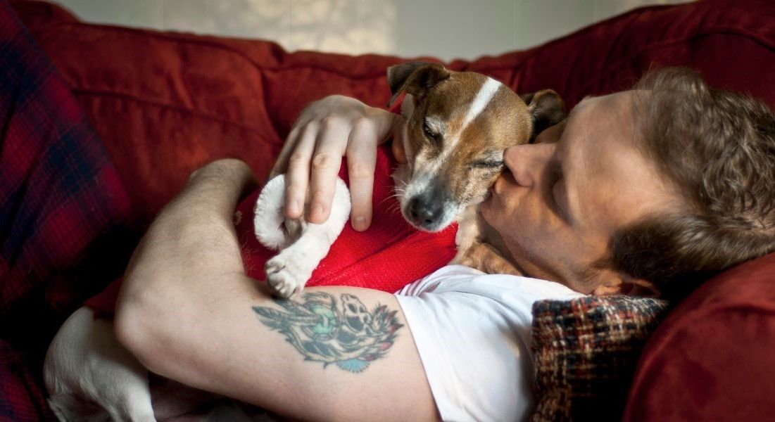 Bicester pets appeal to bring 'festive cheer' to struggling families