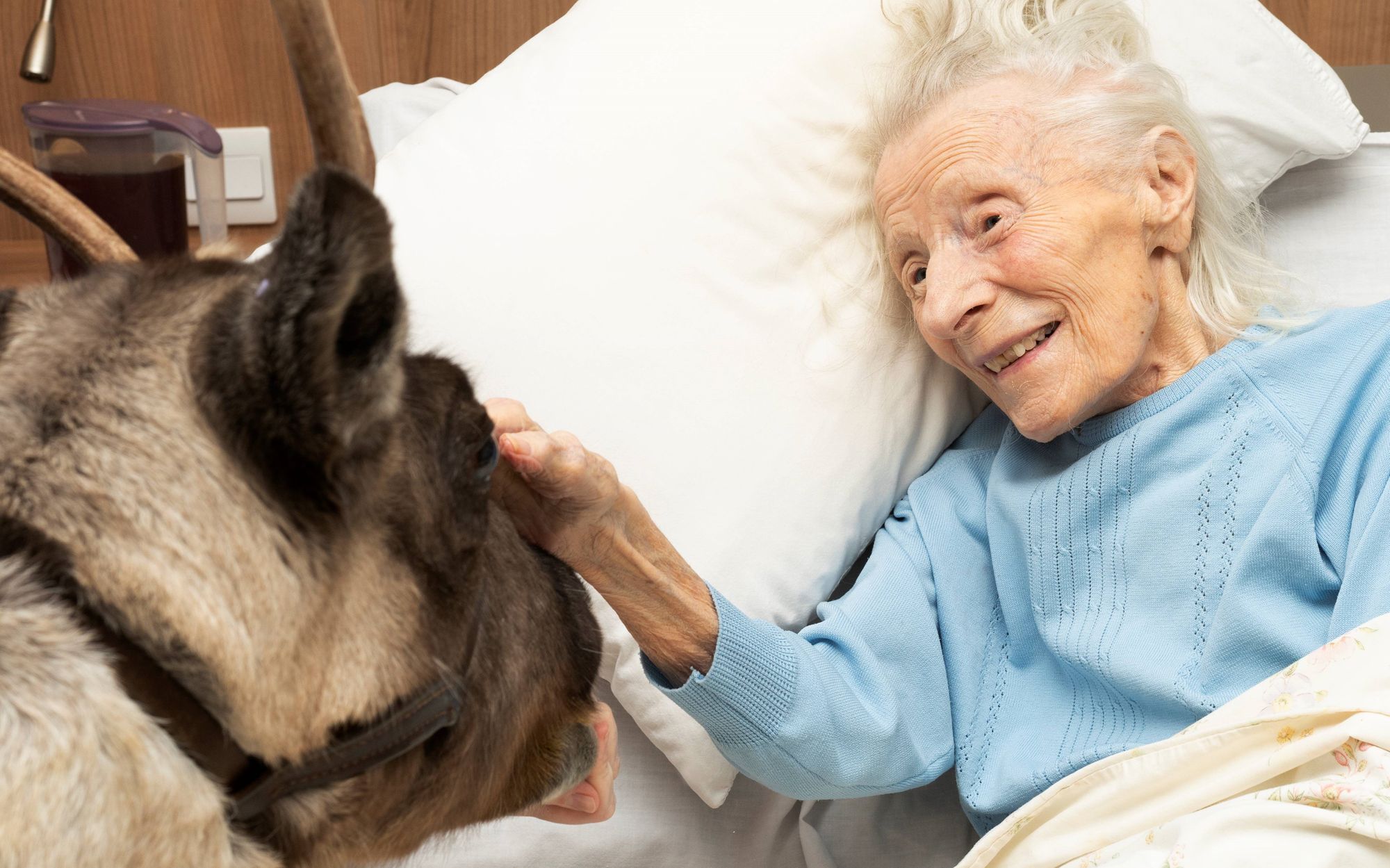 Care home staff make magical reindeer visit happen for bedridden resident