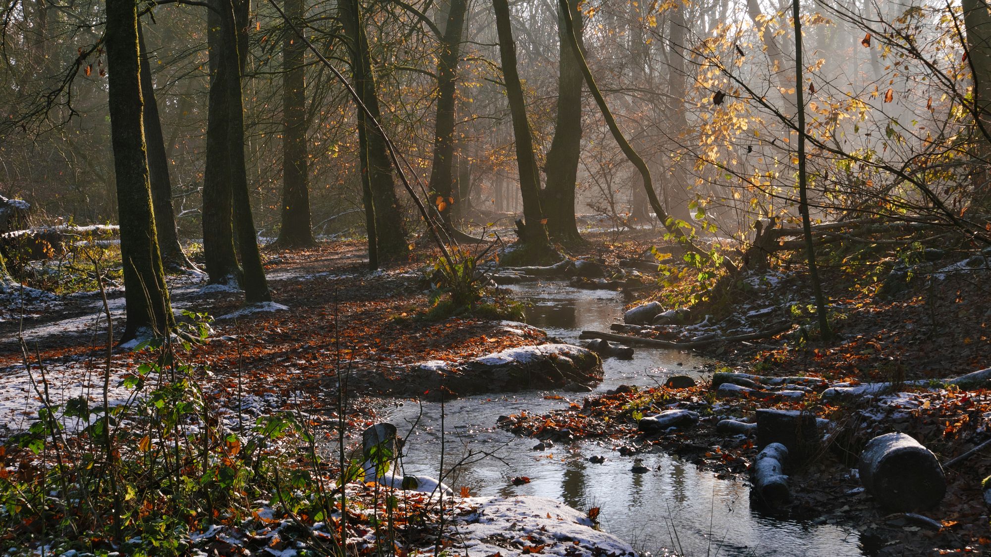 Scene By You Ormskirk - Dec 15 : Pictures of West Lancashire captured by local photographers