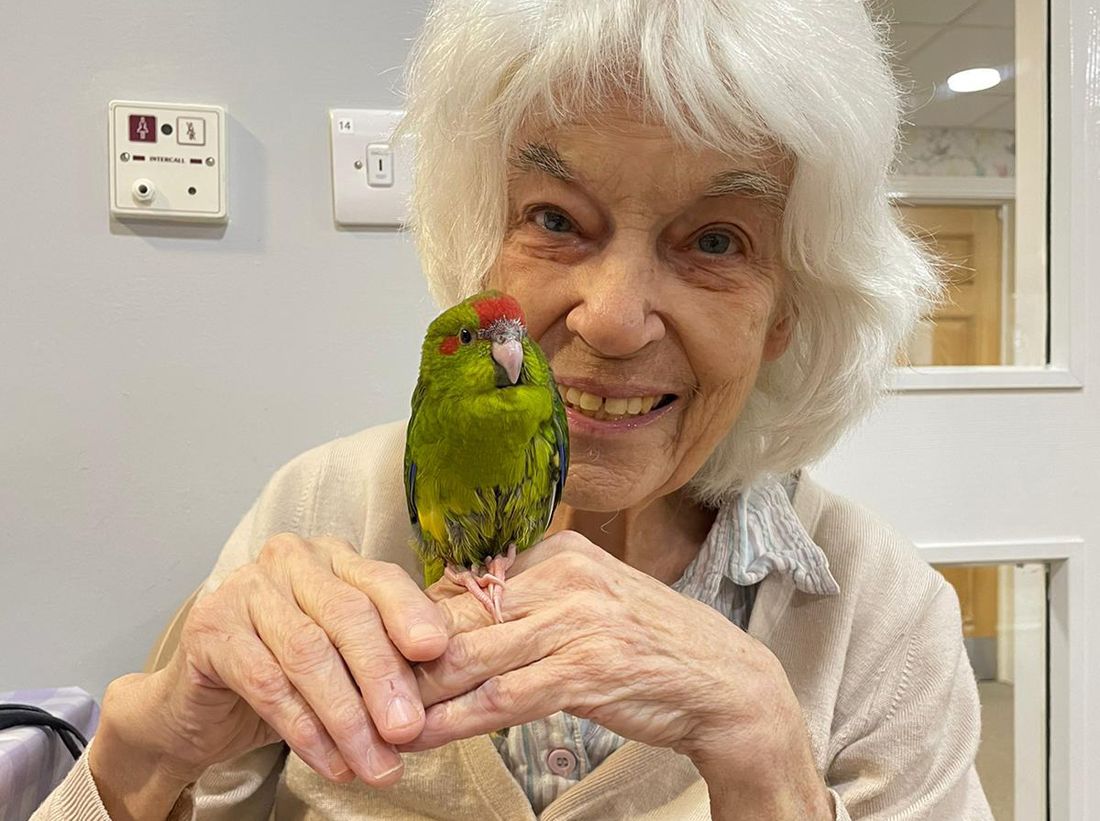 Oadby care home residents welcome feathered friends