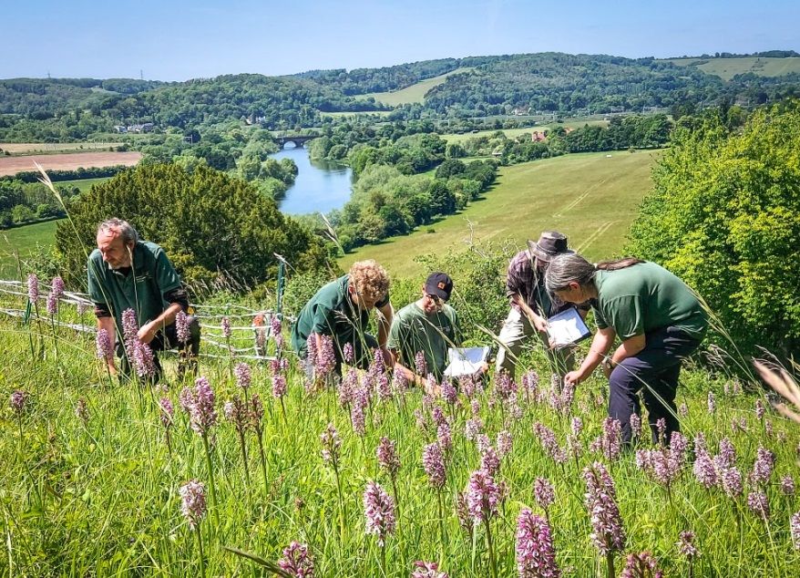 Dazzling damselflies and disappearing dormice – nature reserves' changing wildlife populations