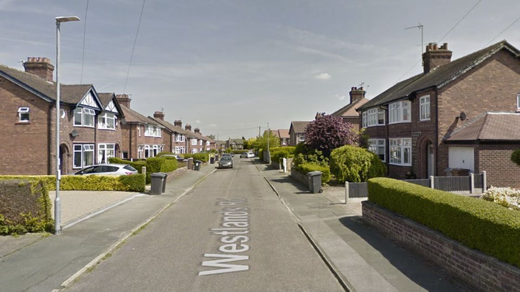 Cheshire East Council Planning: Work agreed to high value tree