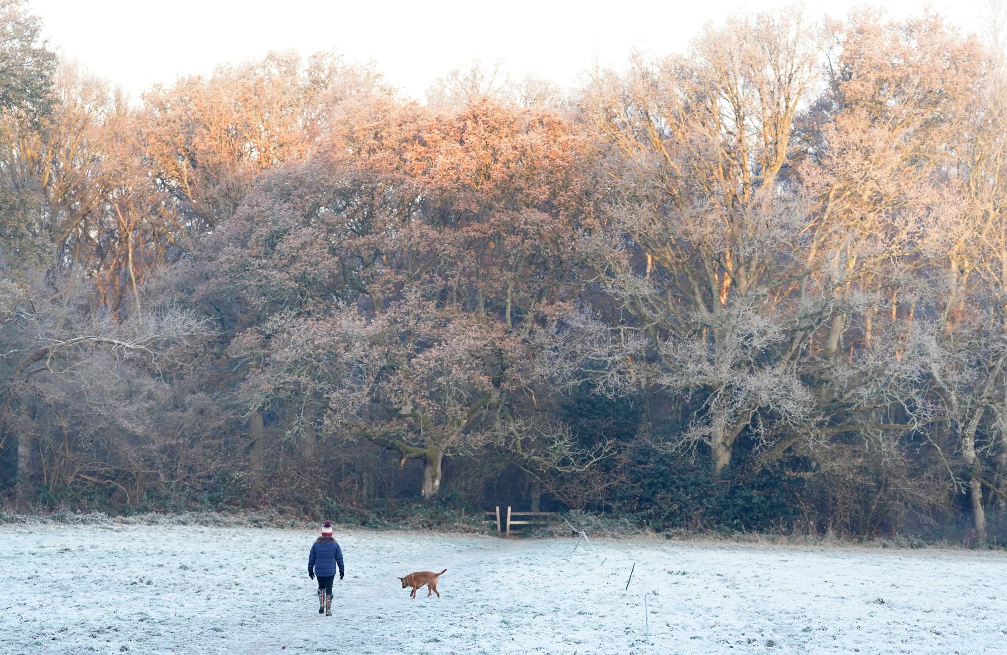 Met Office issues weather alert for majority of the UK - see if your area is affected