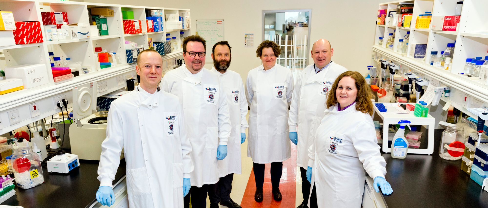 Sepsis charity Christmas campaign celebrates supporters across the UK
