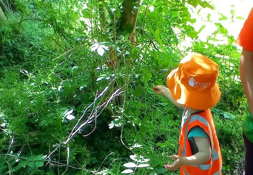 Surrey nurseries plant 300 trees for Christmas
