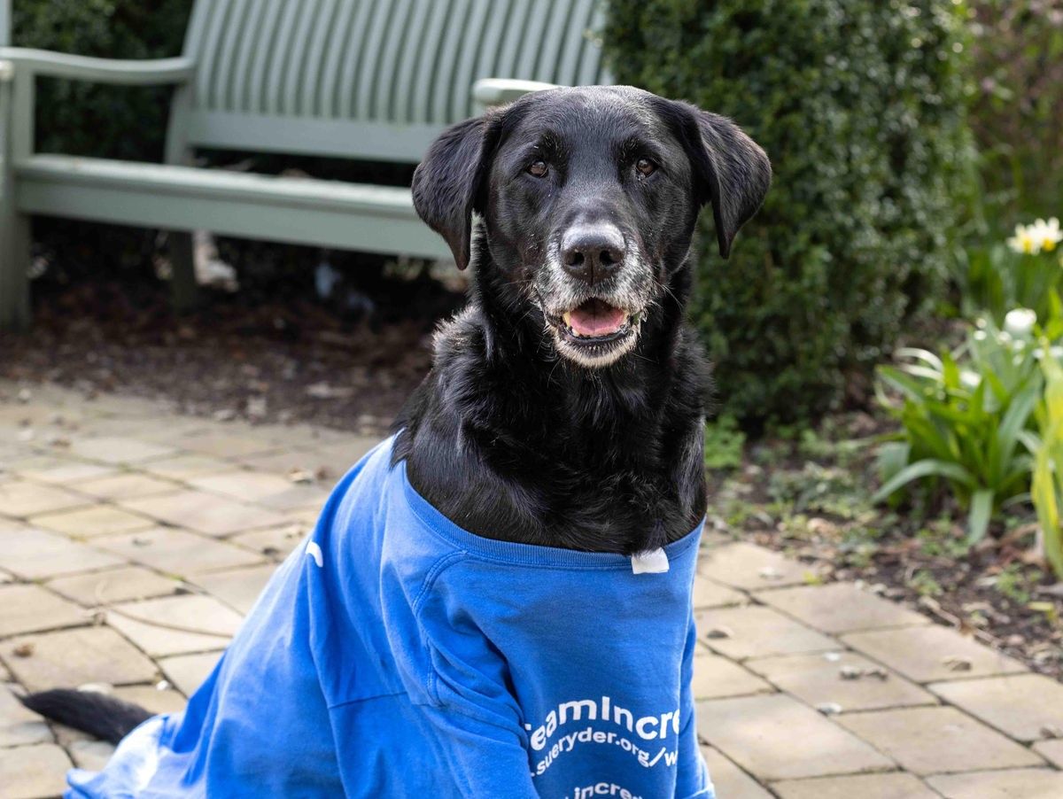 Headingley hospice says a sad goodbye to much-loved therapy dog