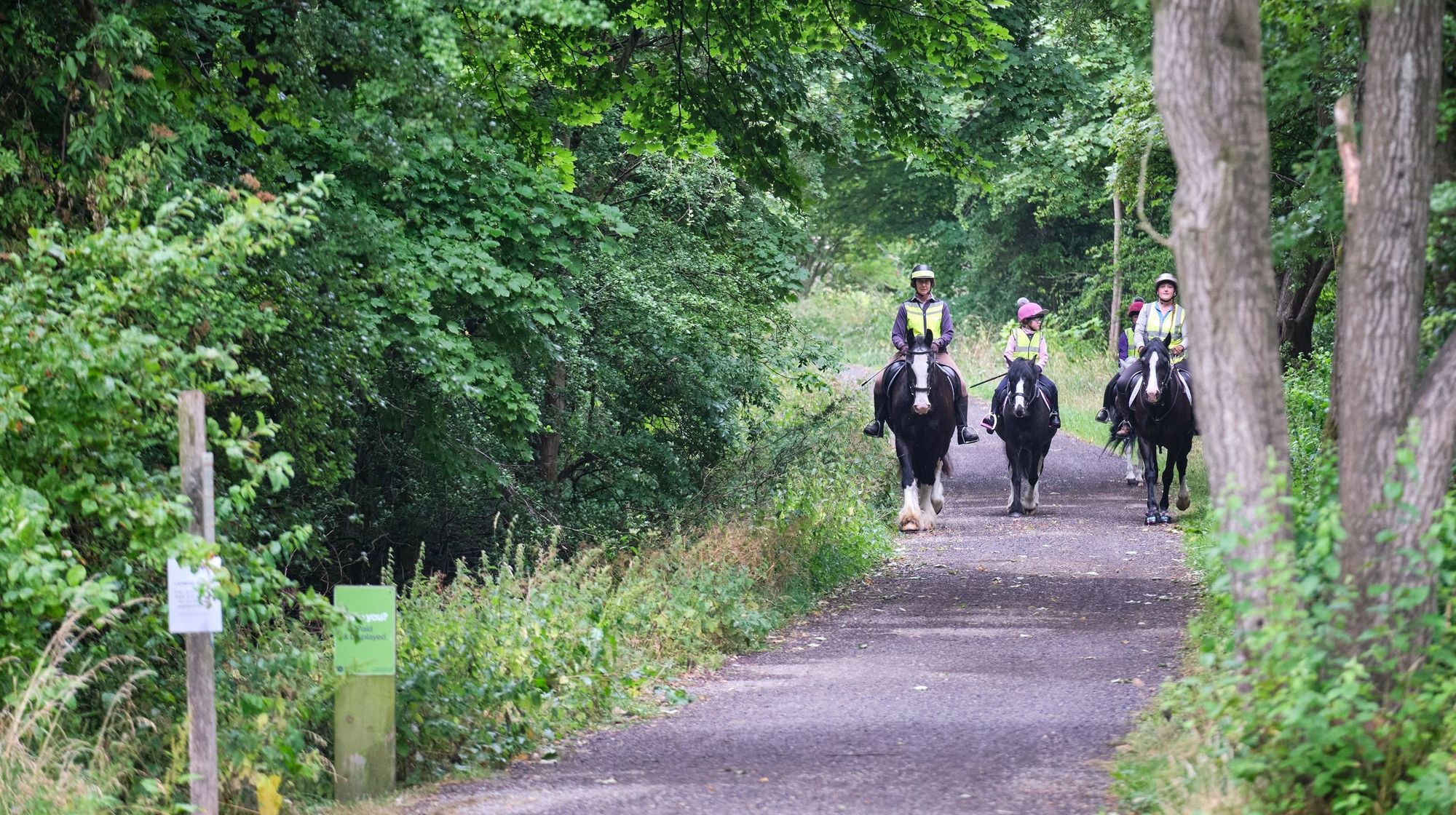 Peak District's Tissington Trail partially closed for tree-felling works