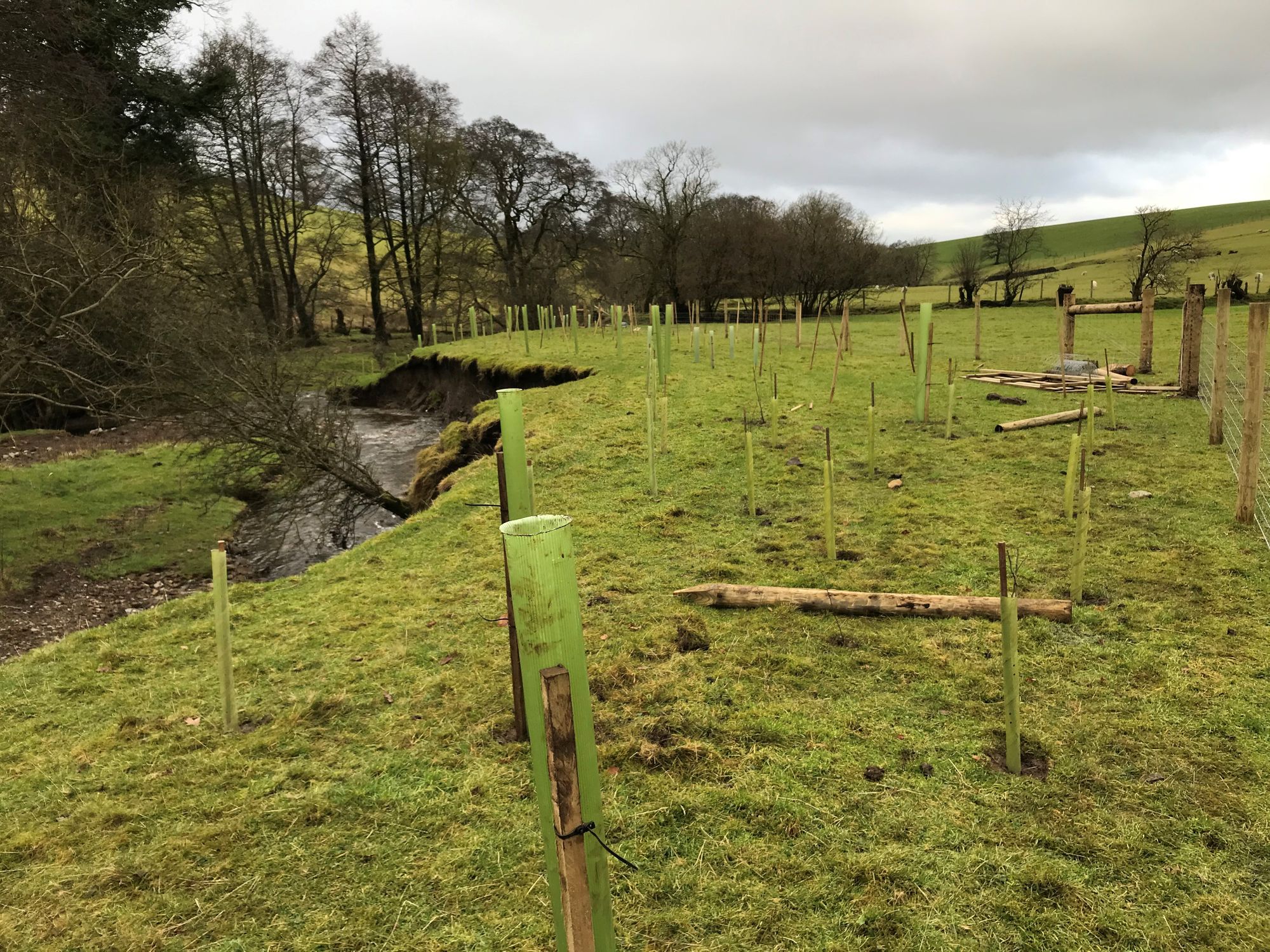 Council reaffirms commitment to tackle climate change