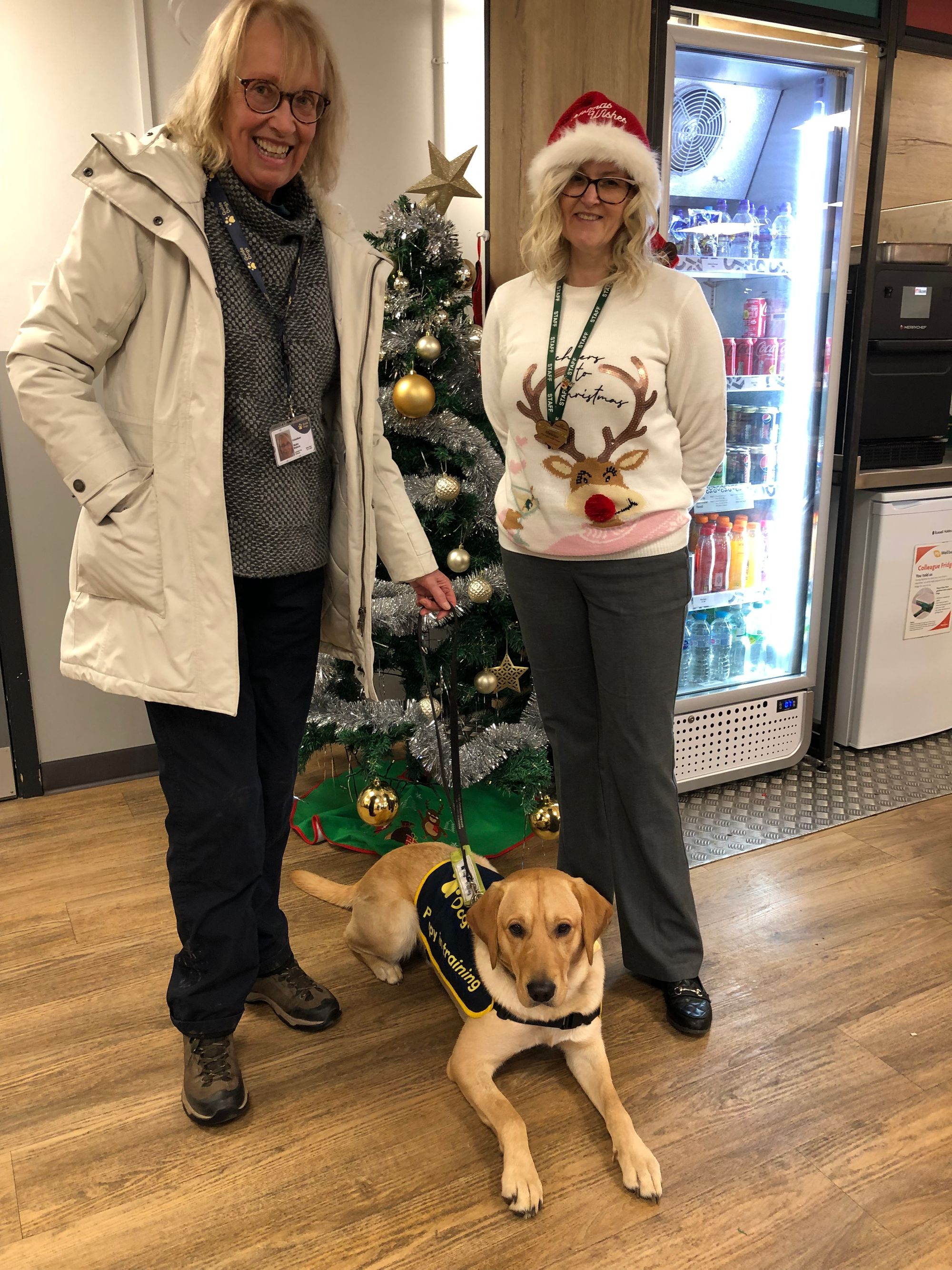 Guide dog in training meets sponsors Morrisons Ayr
