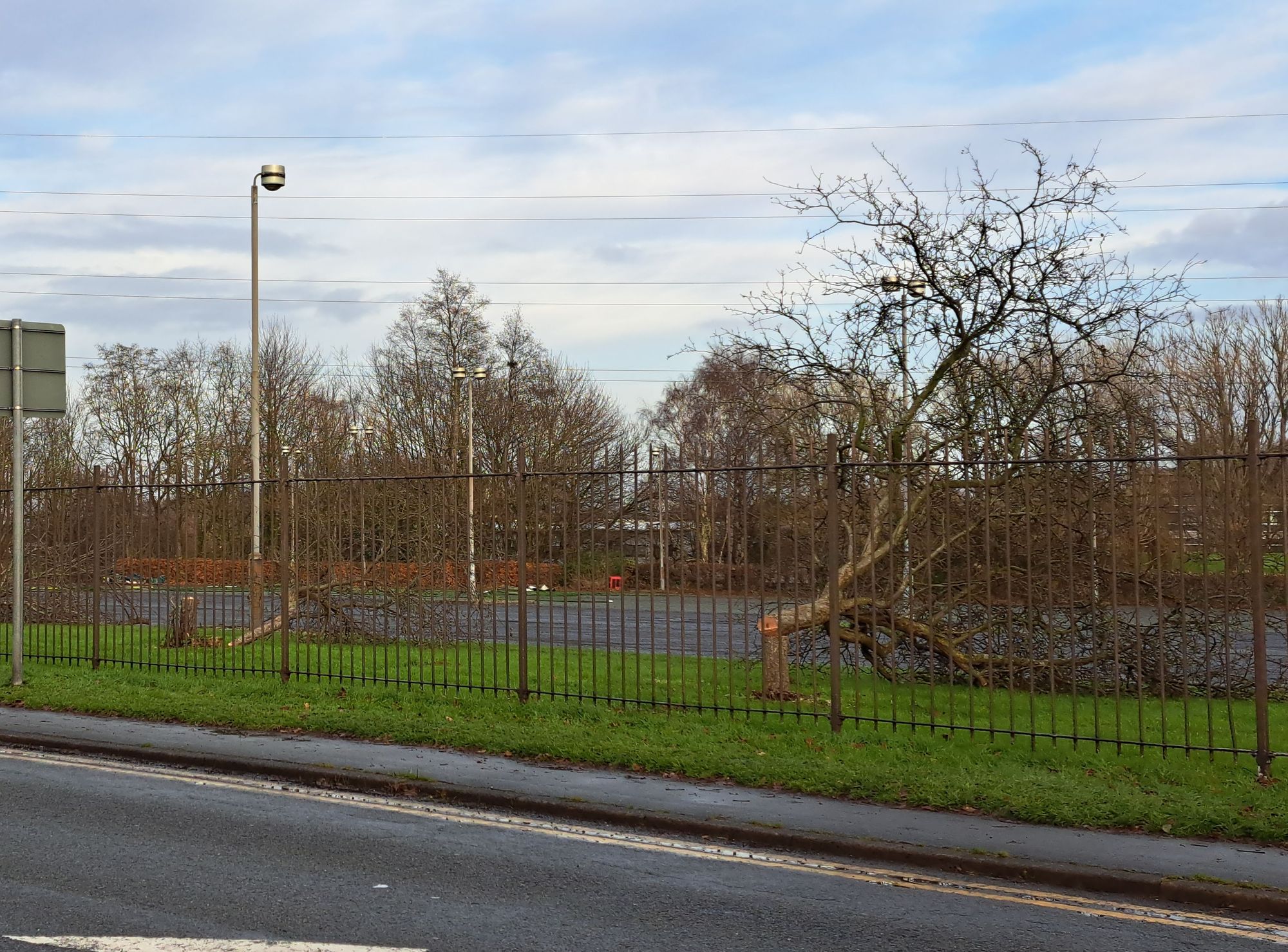 'Routine' tree-felling causes 'upset' in Runcorn