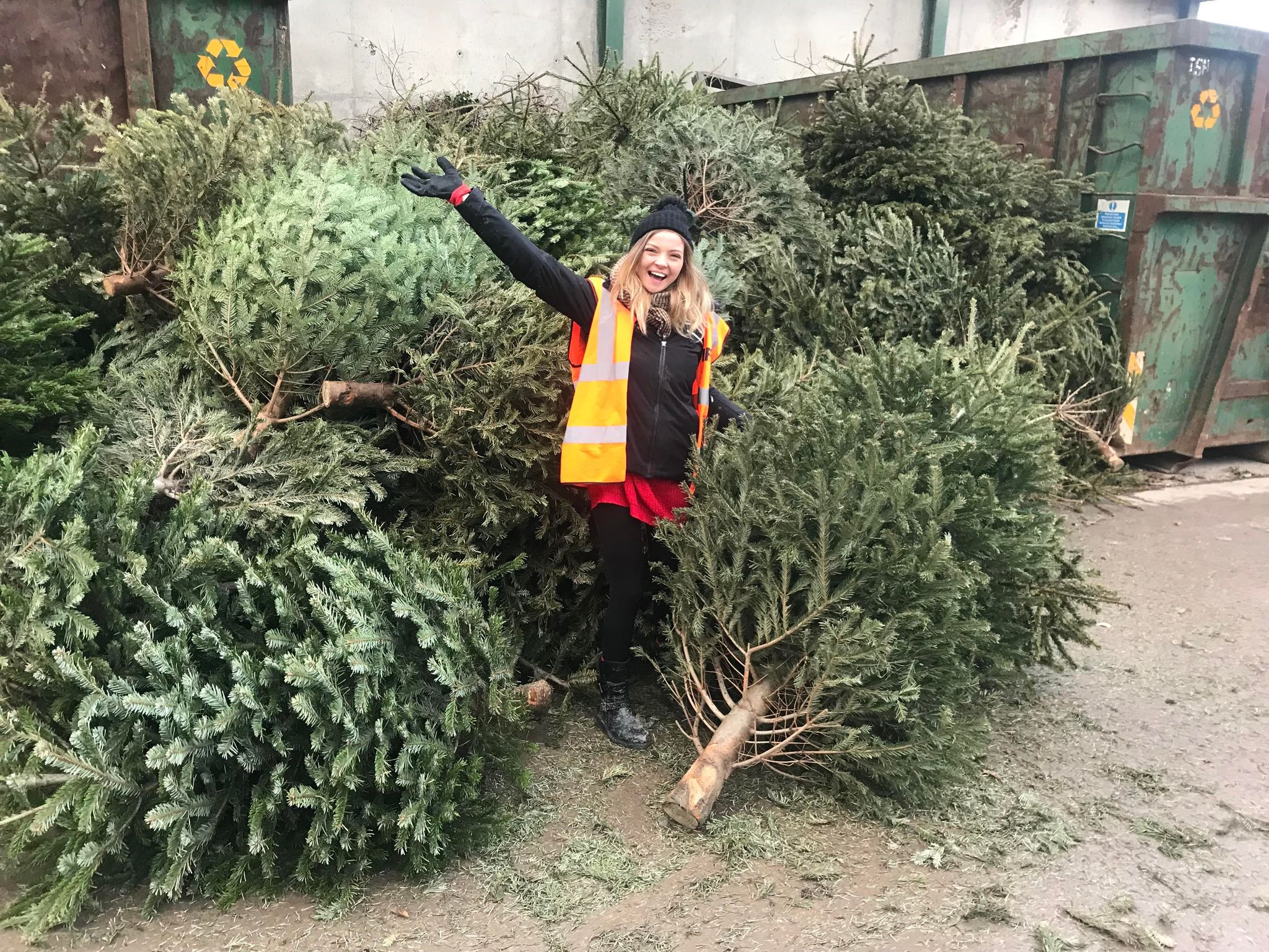 Recycle your Christmas tree with Wrexham's Nightingale House
