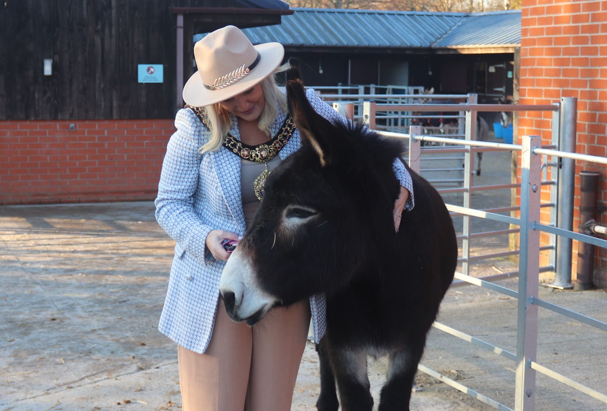 Abbey Hey's Donkey Sanctuary visited by Lord Mayor