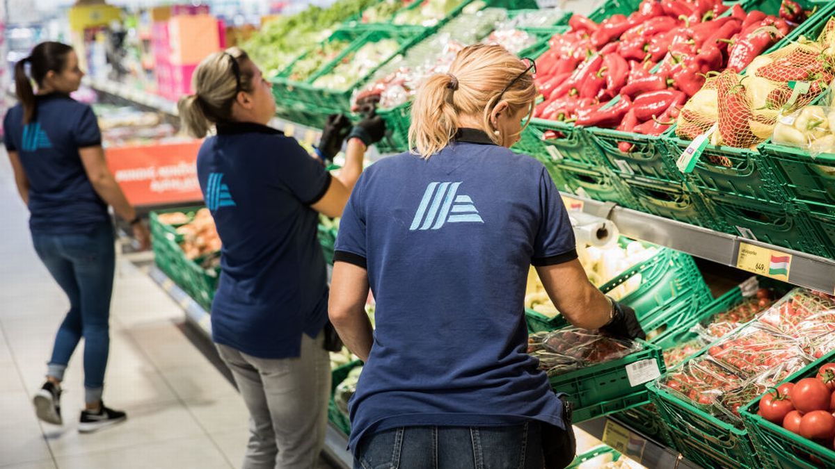 Aldi Lidl And Sainsbury s Slash Price Of Christmas Veggies To Just 19p 