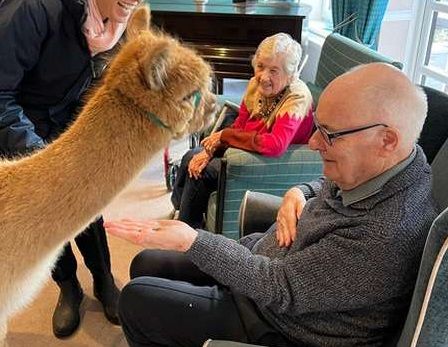Animal magic for Northampton residents as surprise visit causes a stir