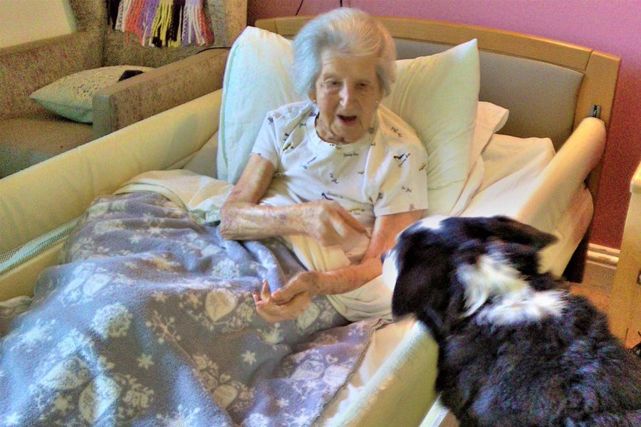 Therapy dog Murphy has stolen 101-year-old Doris' heart