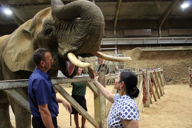MP champions zoo's valuable work to the House of Commons