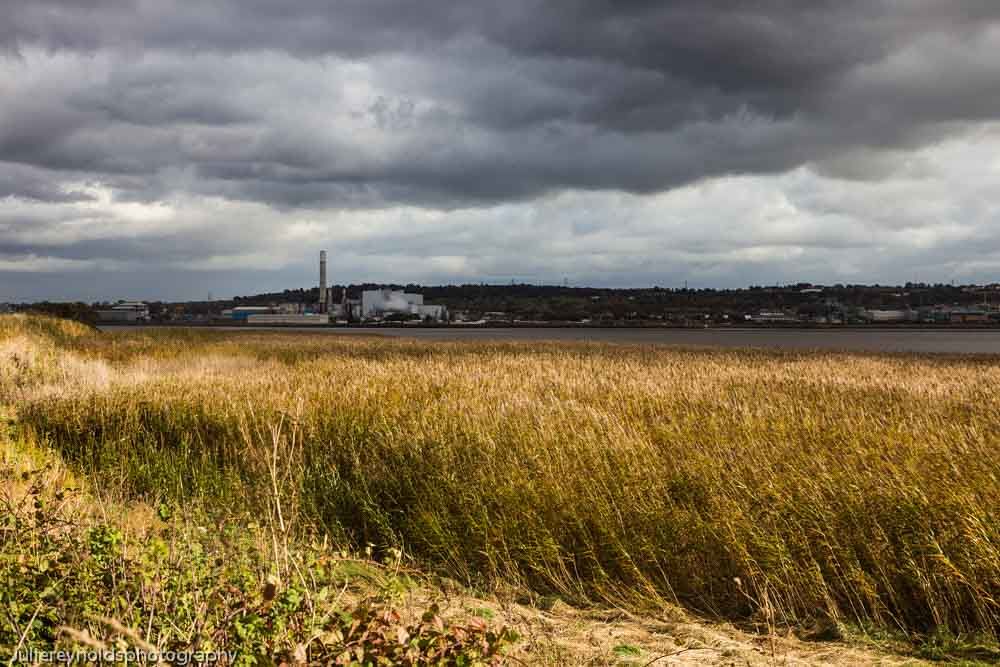 Scene By You in Runcorn and Widnes: February 9, 2023