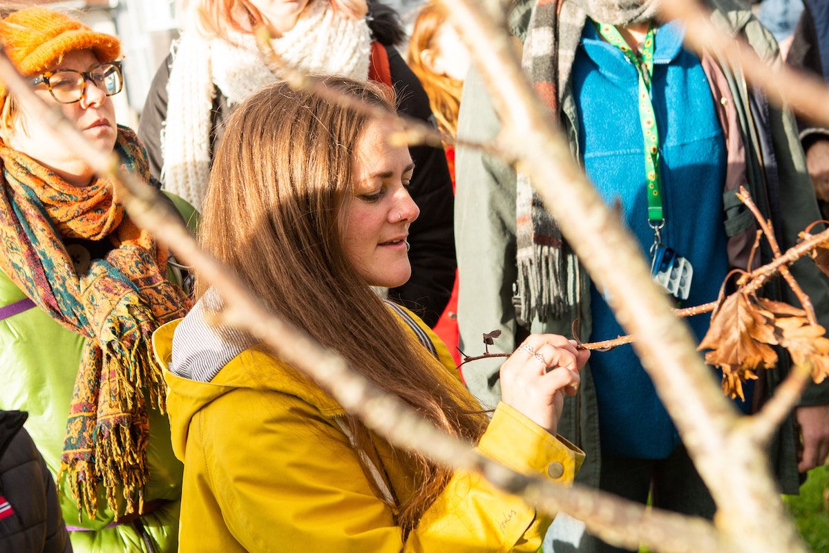 Hull residents invited to take part in tree identification training courses