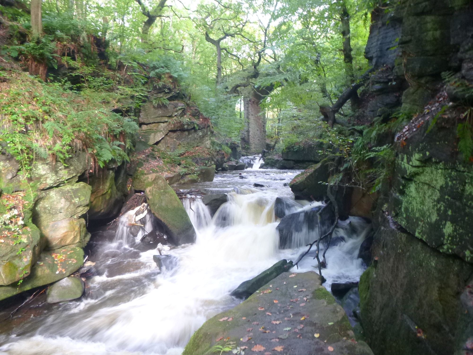 Rossendale Ramblers: Join us on our upcoming walks