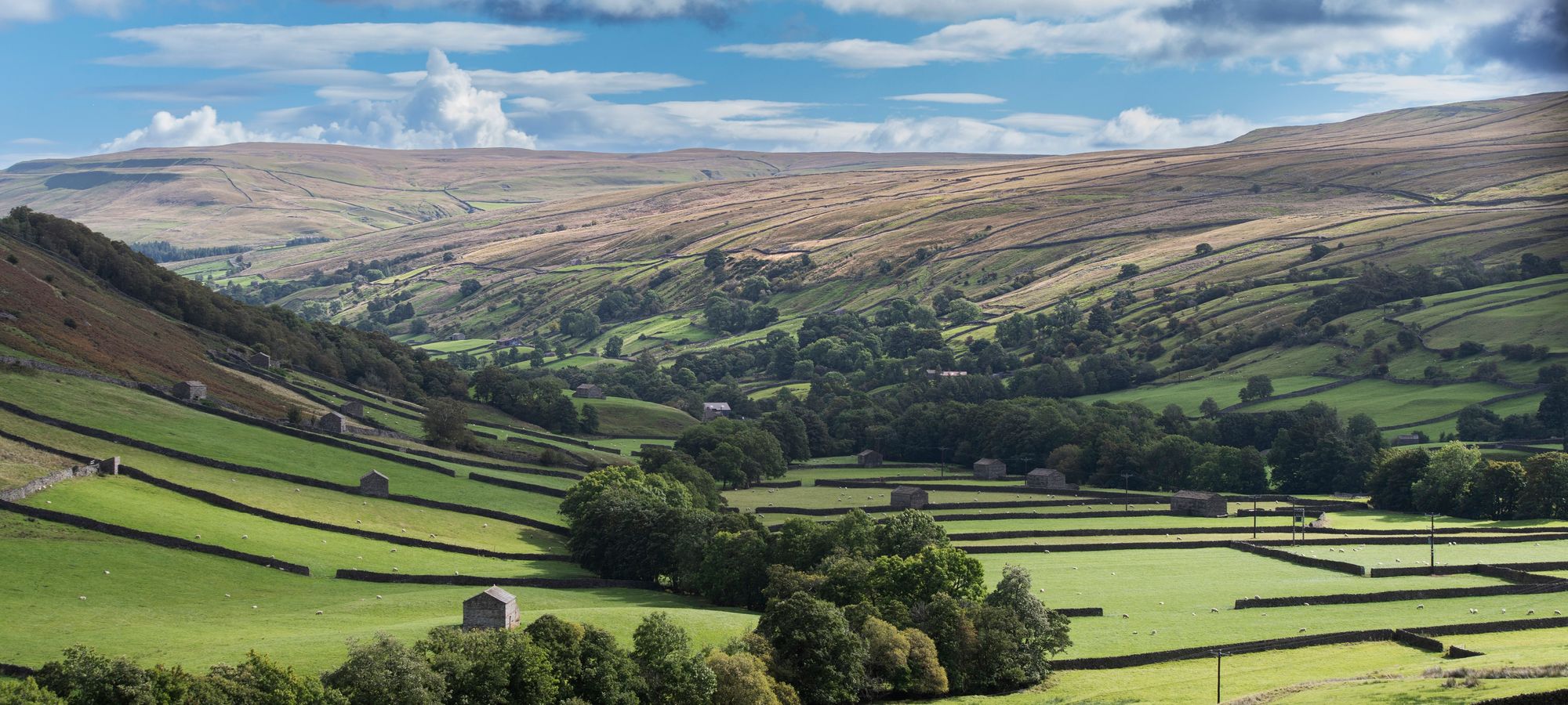 North Yorkshire Council approves plan to tackle affordable homes crisis