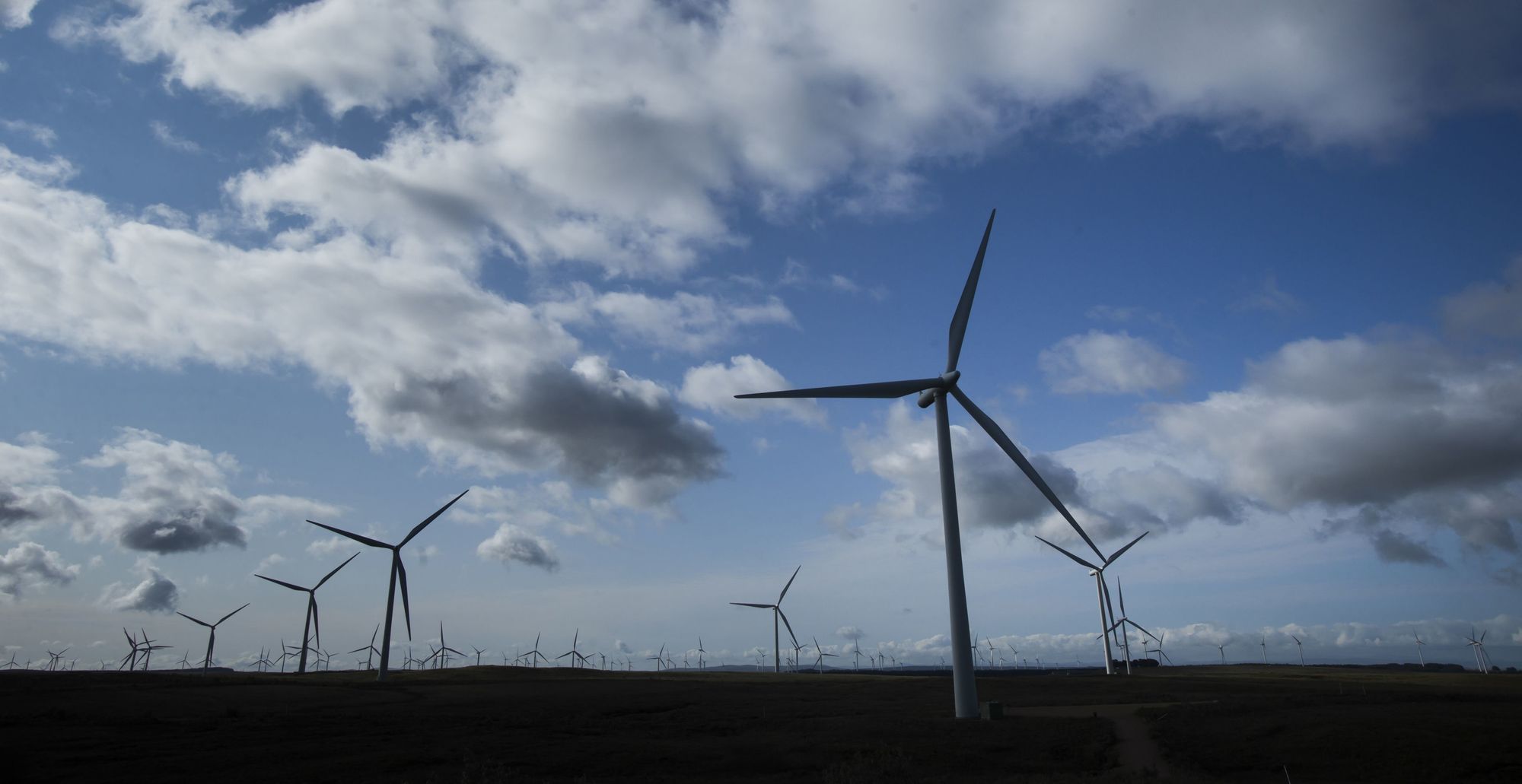 Leicestershire County Council urges public to get involved with Net Zero plans