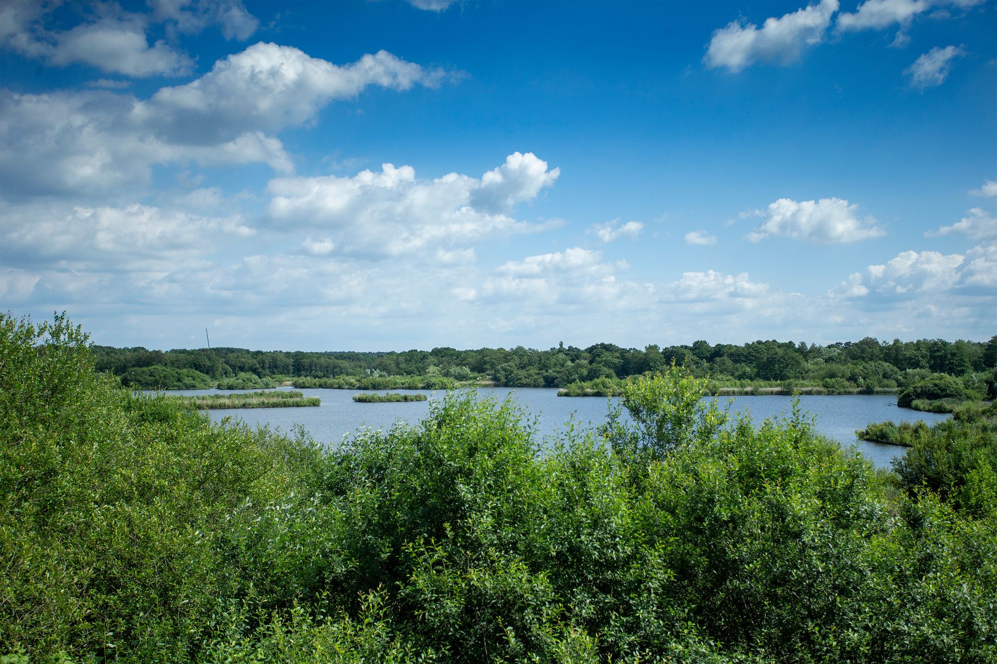 Hart District Council secures £100k funding for Fleet Pond’s wildlife