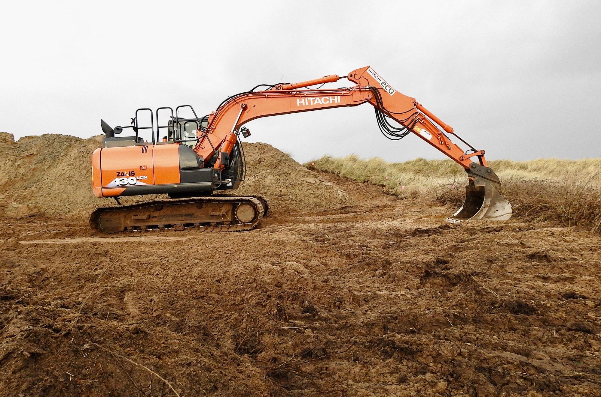 The Sefton Coast with John Dempsey: The battle against Japanese Rose continues