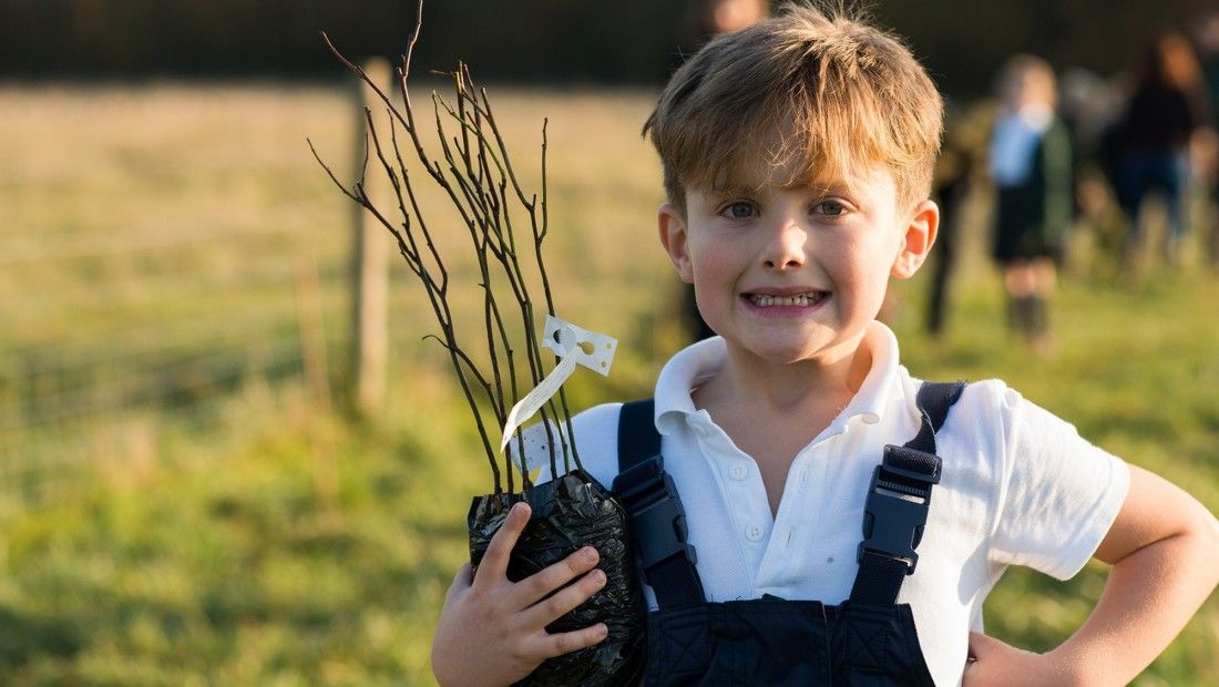 Woodland Trust offers free trees to schools and community groups