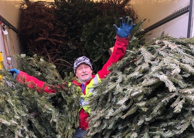 Christmas tree recycling fundraiser turns pine needles into nursing care