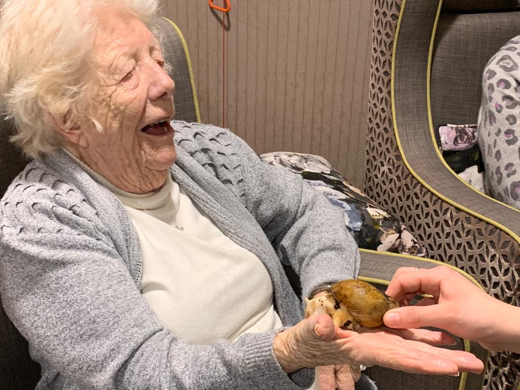 Maidstone care home residents welcome new animal friends