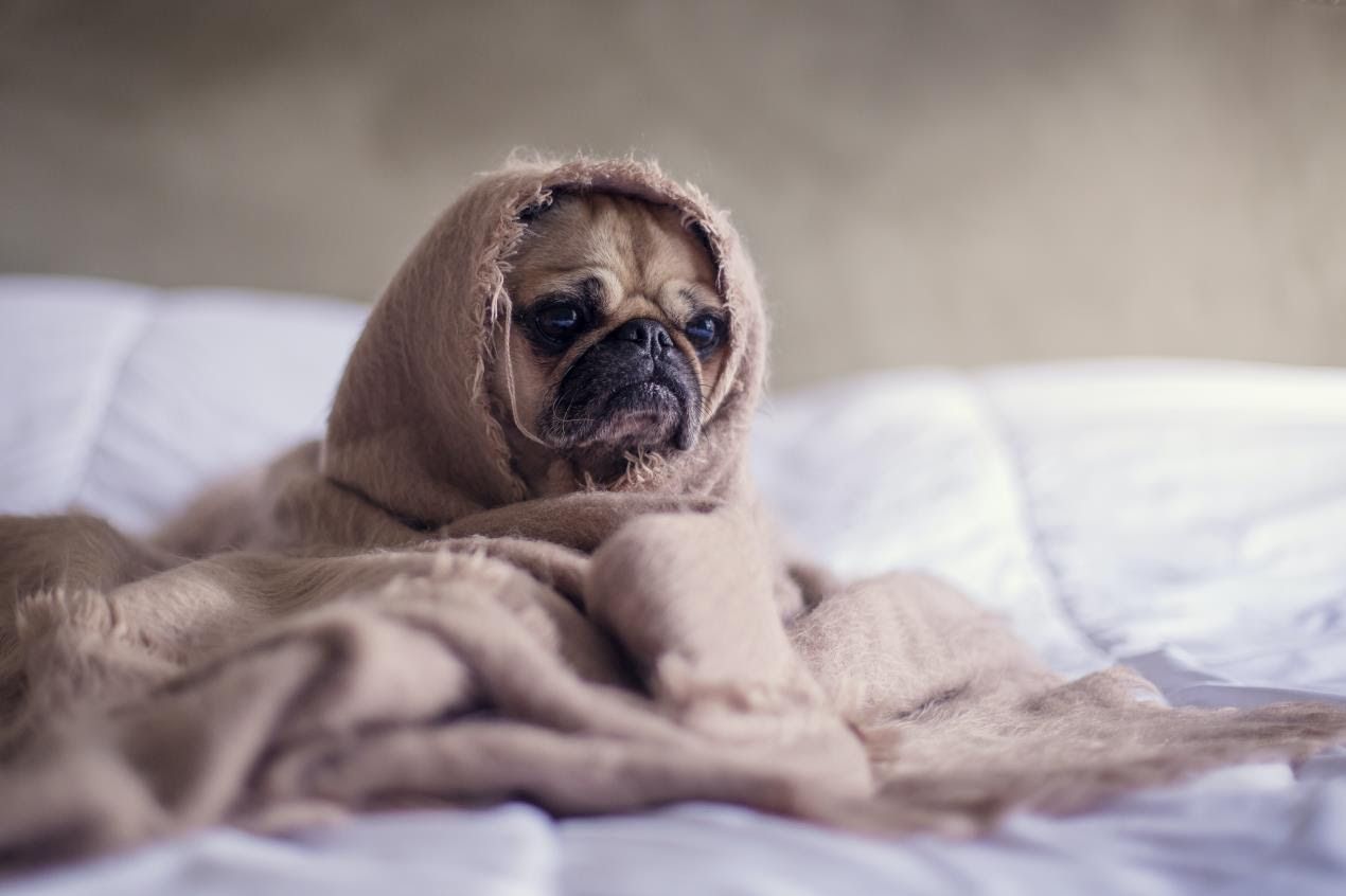 Good vibrations: 25 ways to feel better on Blue Monday