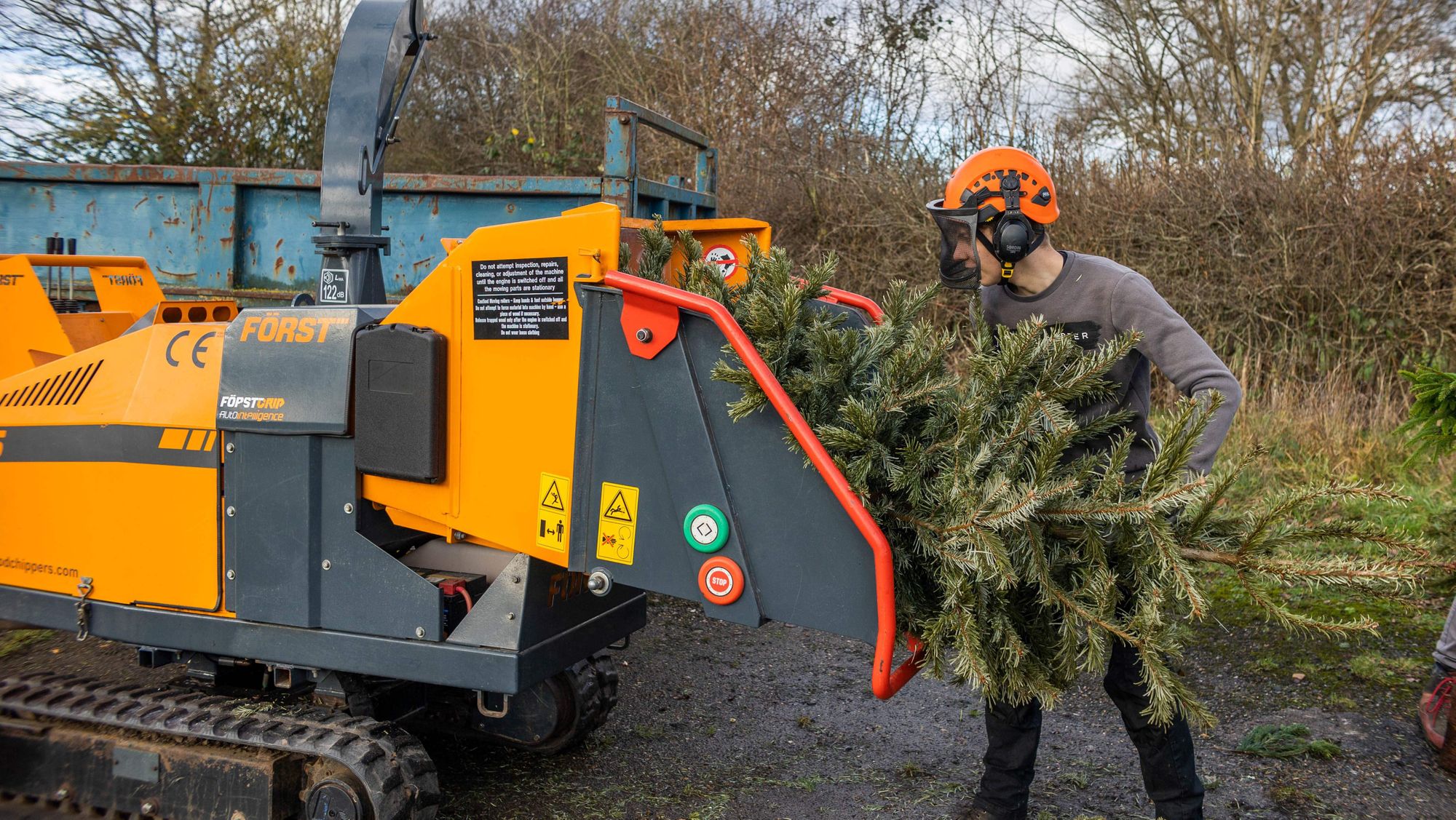 Guildford college unites with hospice for Christmas tree recycling