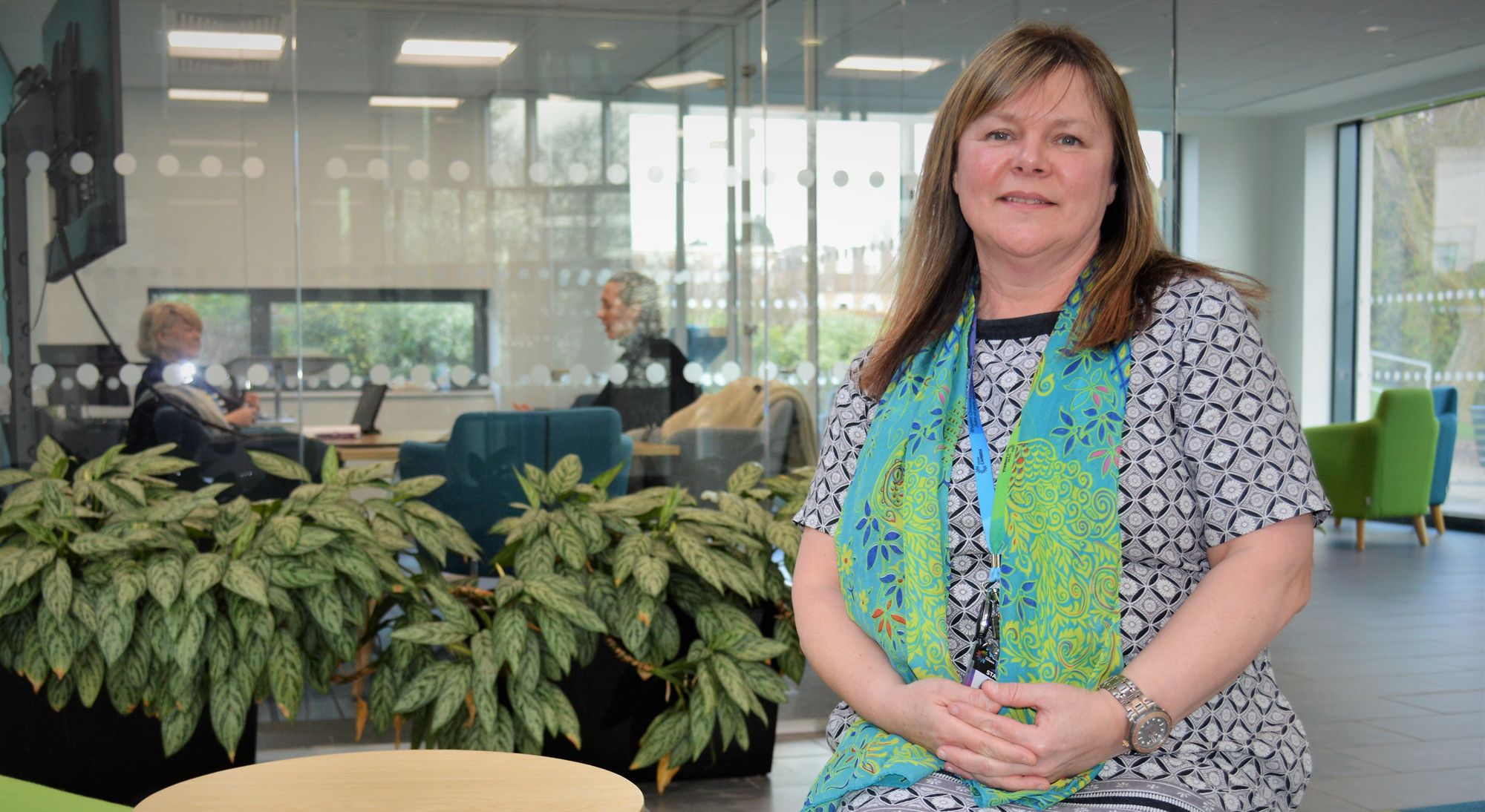 Mold college unveils raft of free courses for 2023