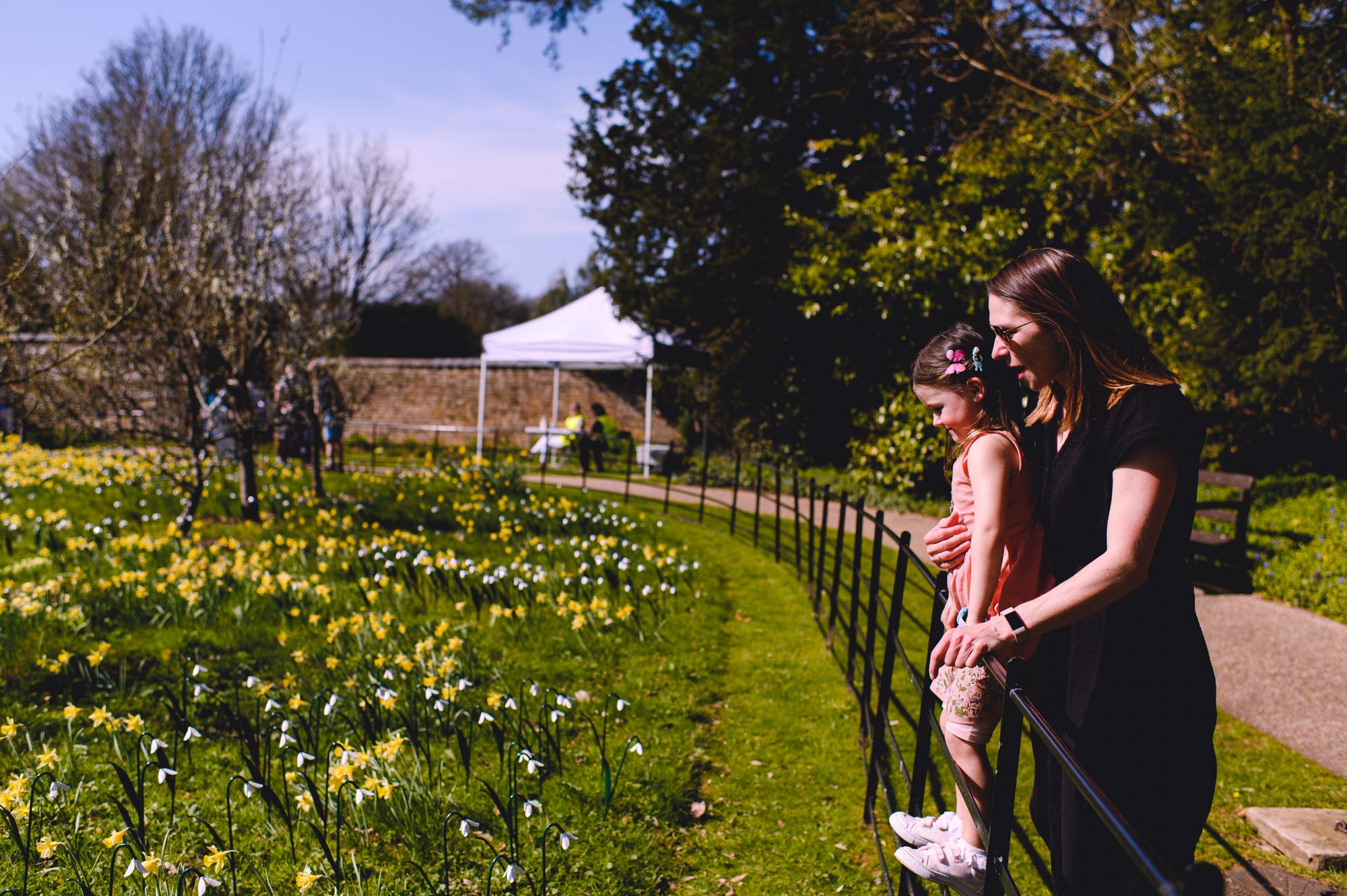 South London Hospice to install 1,300 cast iron Snowdrops in memory of lost loved ones