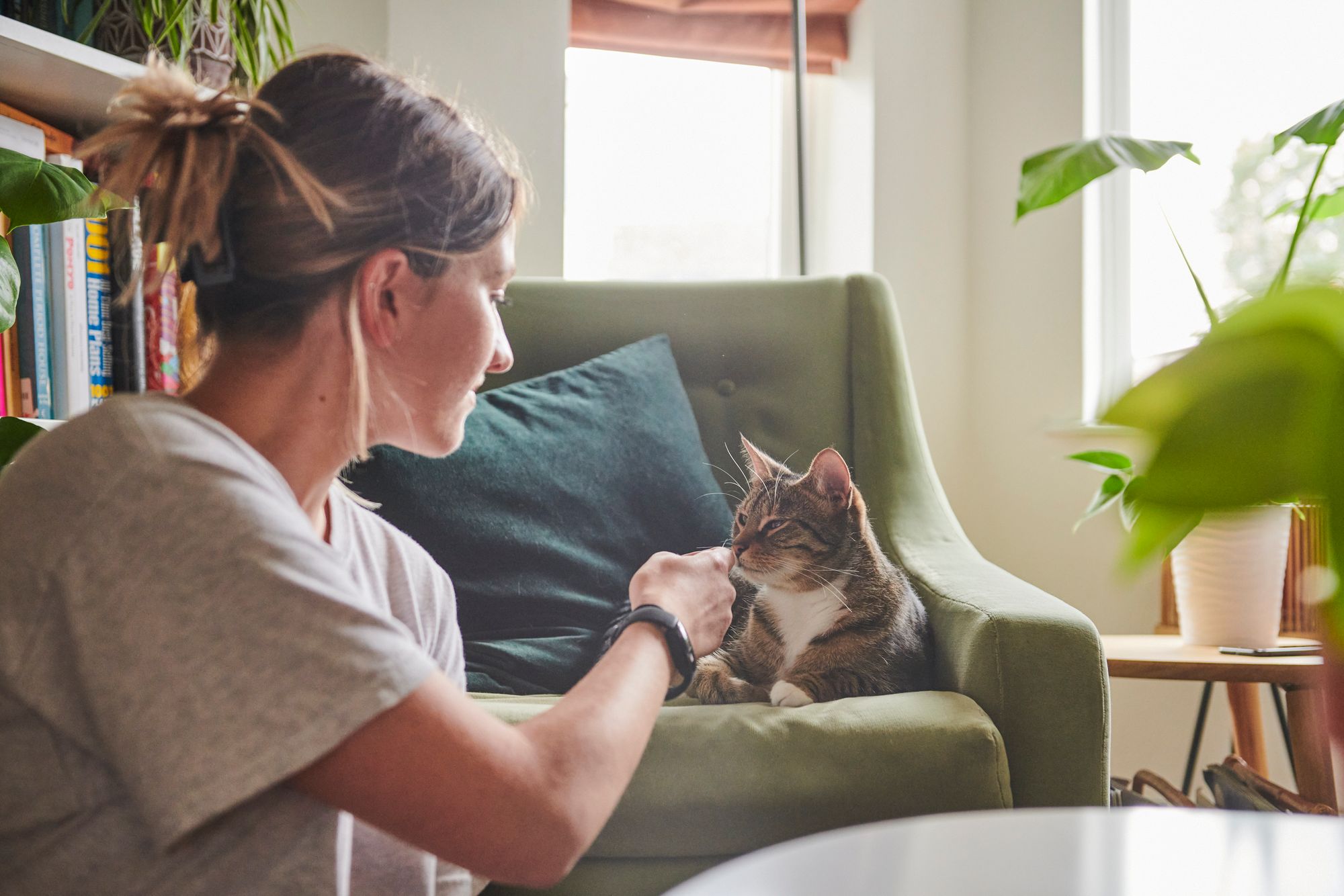 Battersea appeals for more animal foster carers in London and surrounding areas